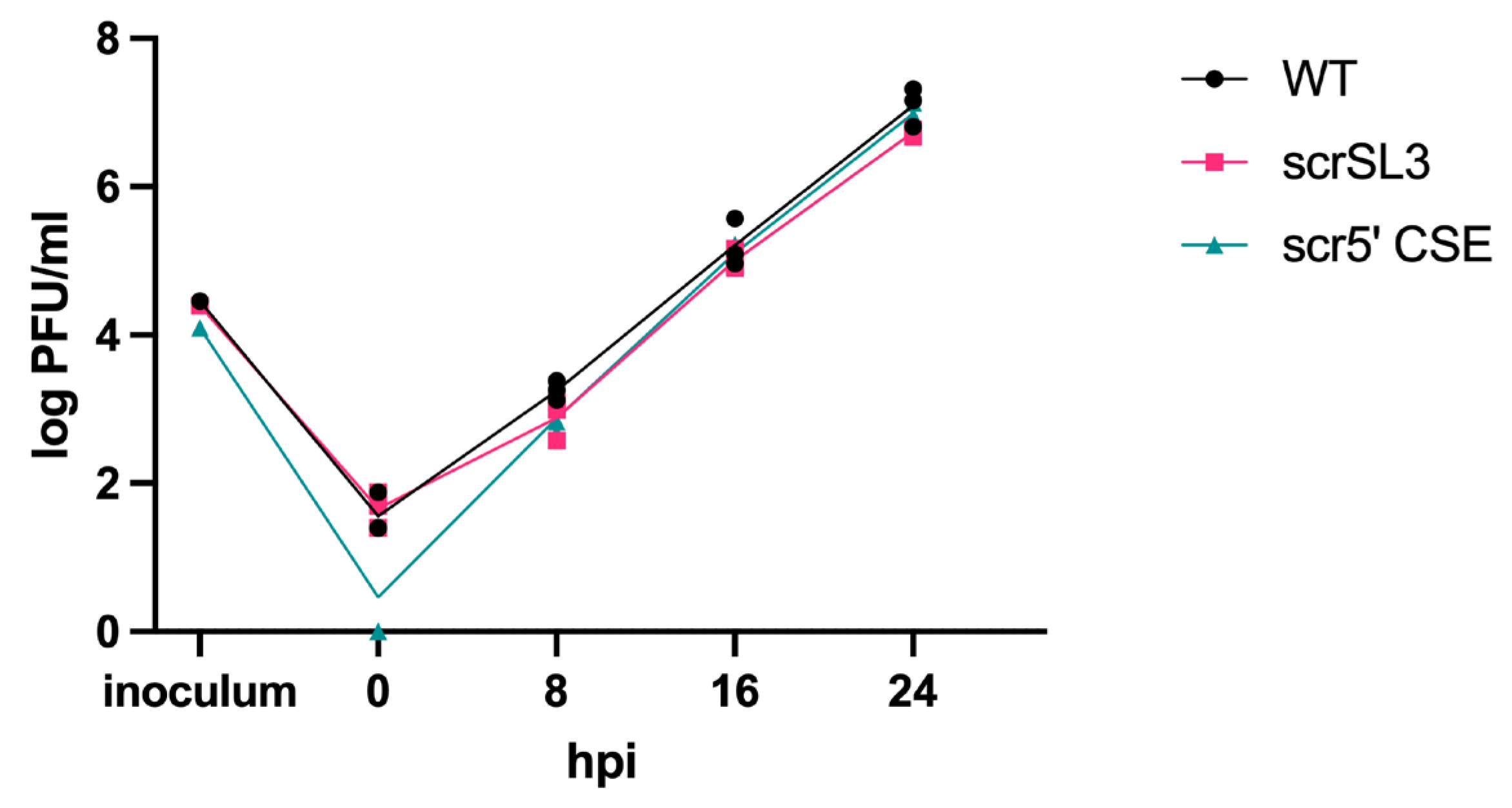 Viruses 16 00636 g002 Viruses 16 00636 g002