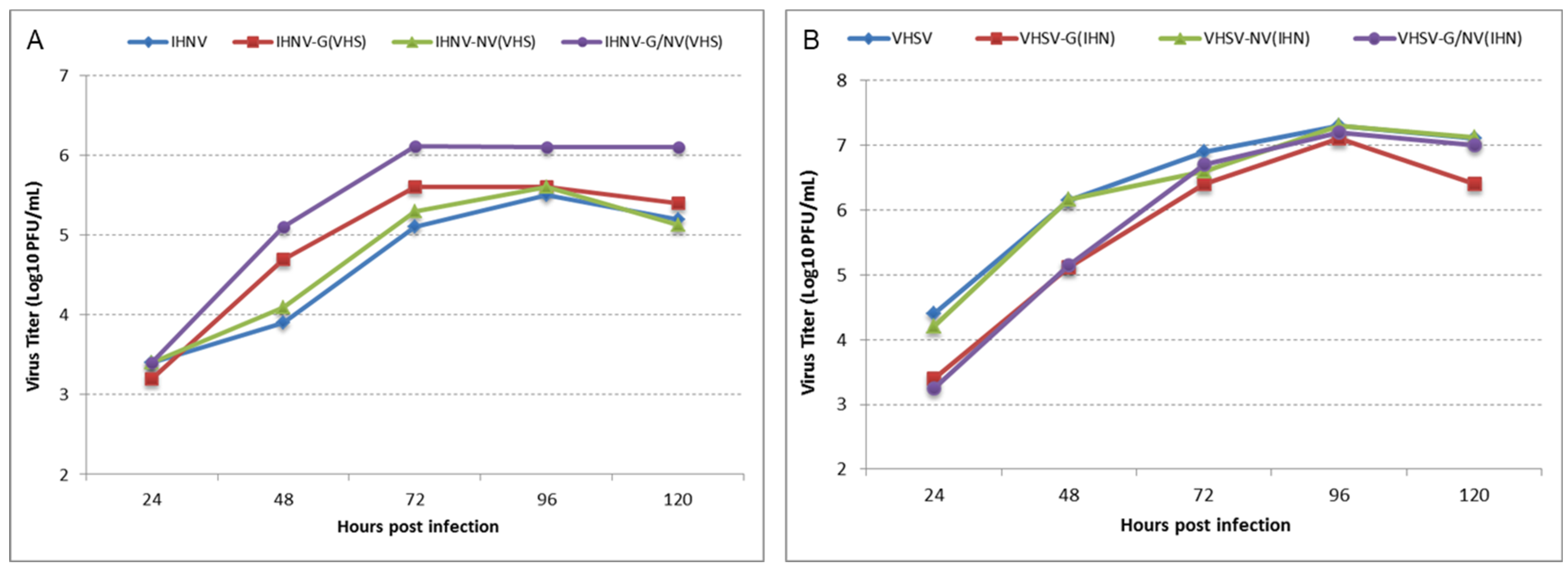 Viruses 16 00652 g003