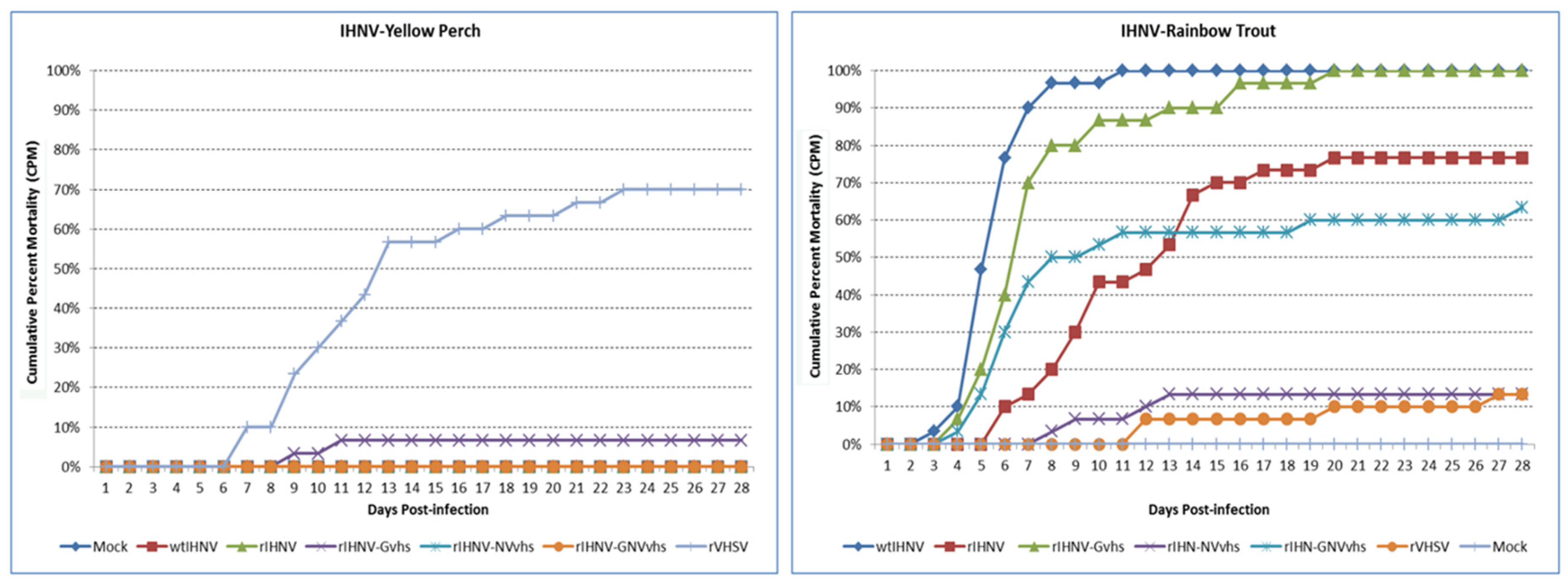 Viruses 16 00652 g004