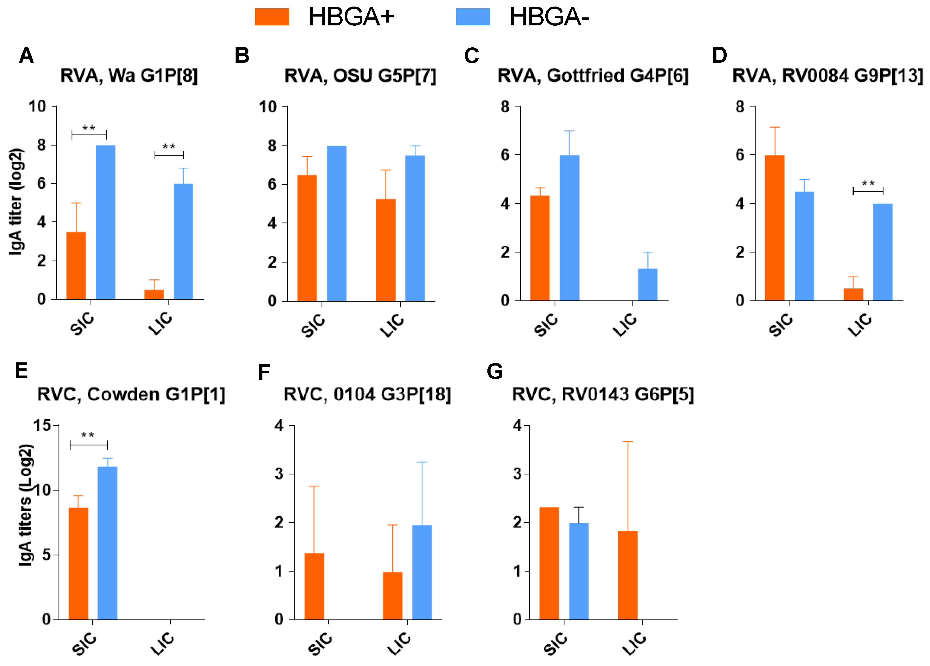 Viruses 16 00660 g004