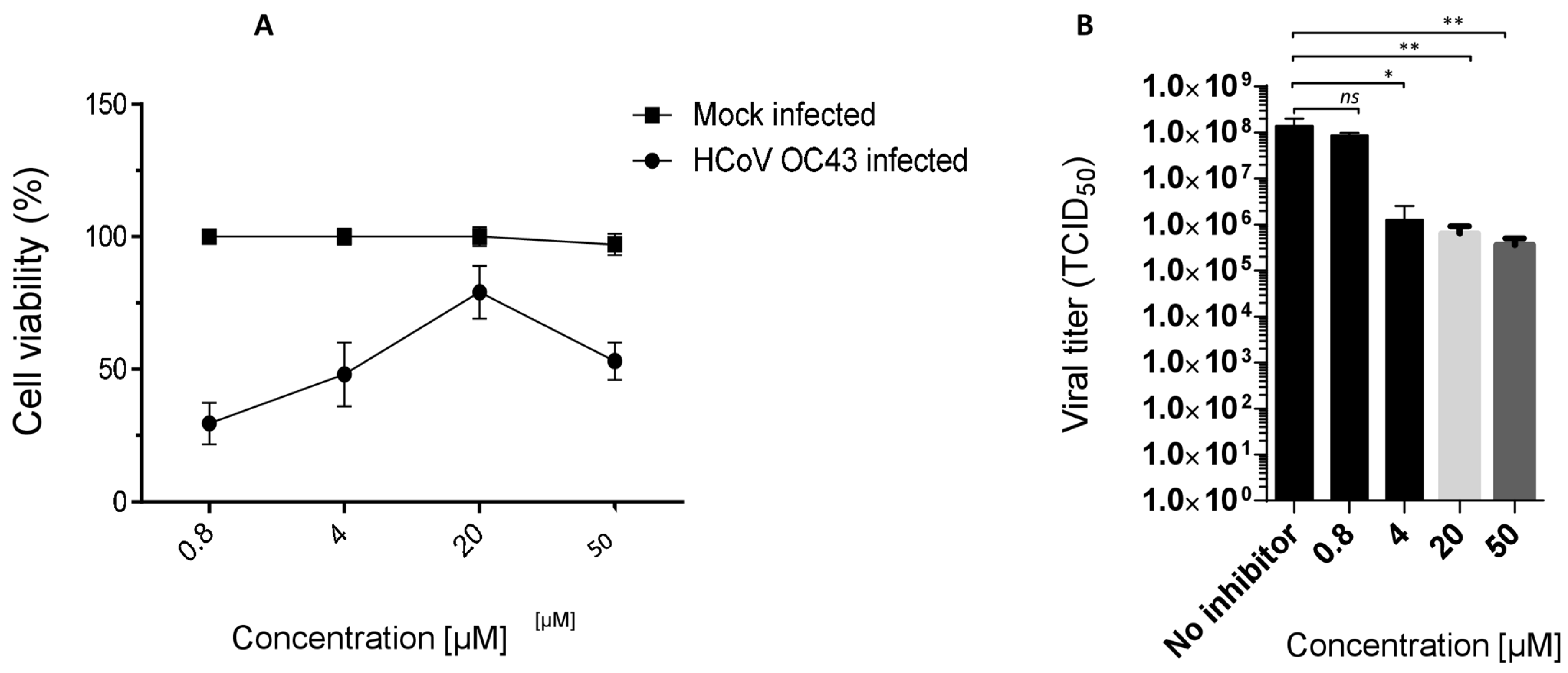 Viruses 16 00665 g004