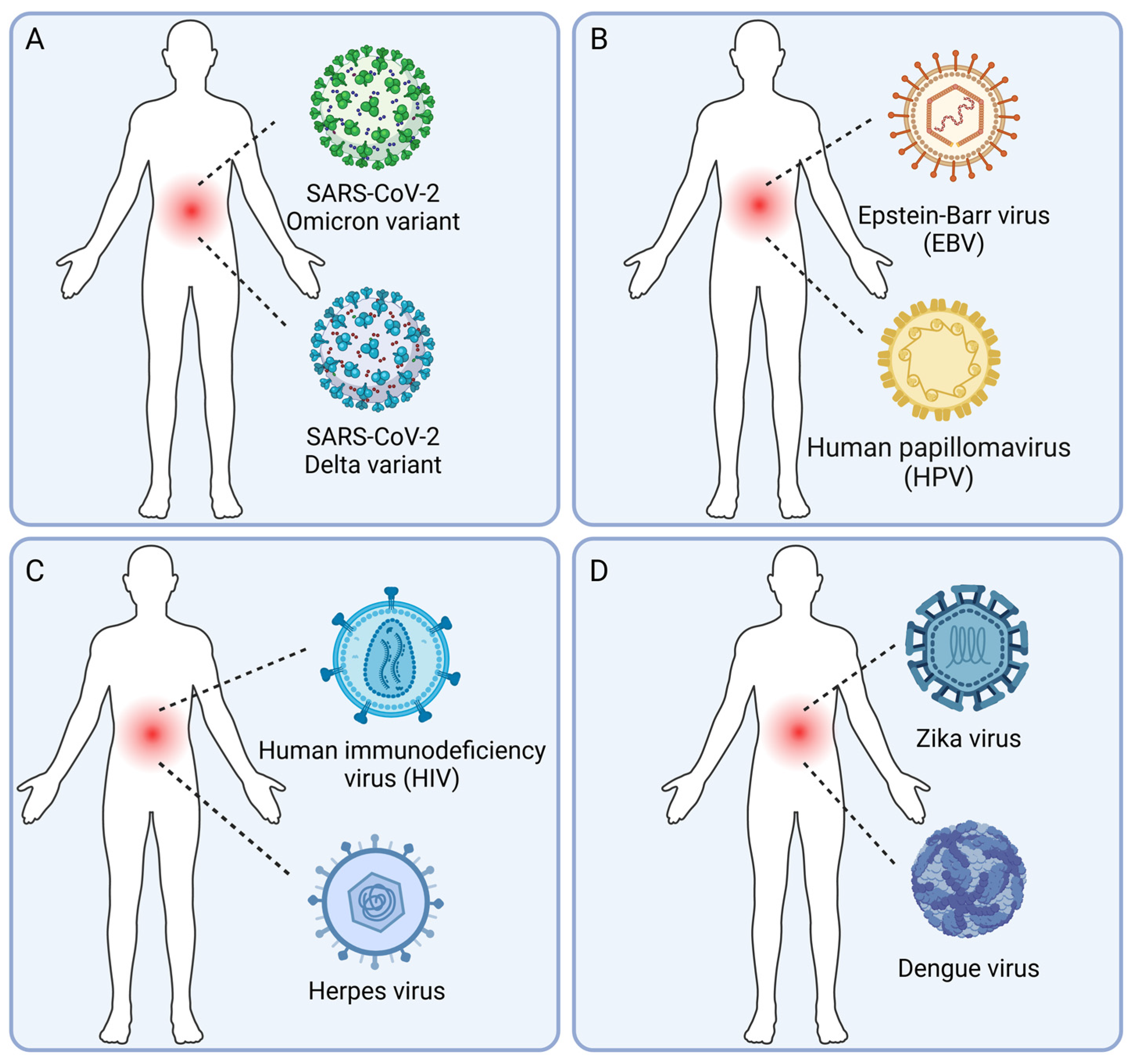 Viruses 16 00673 g001 Viruses 16 00673 g001