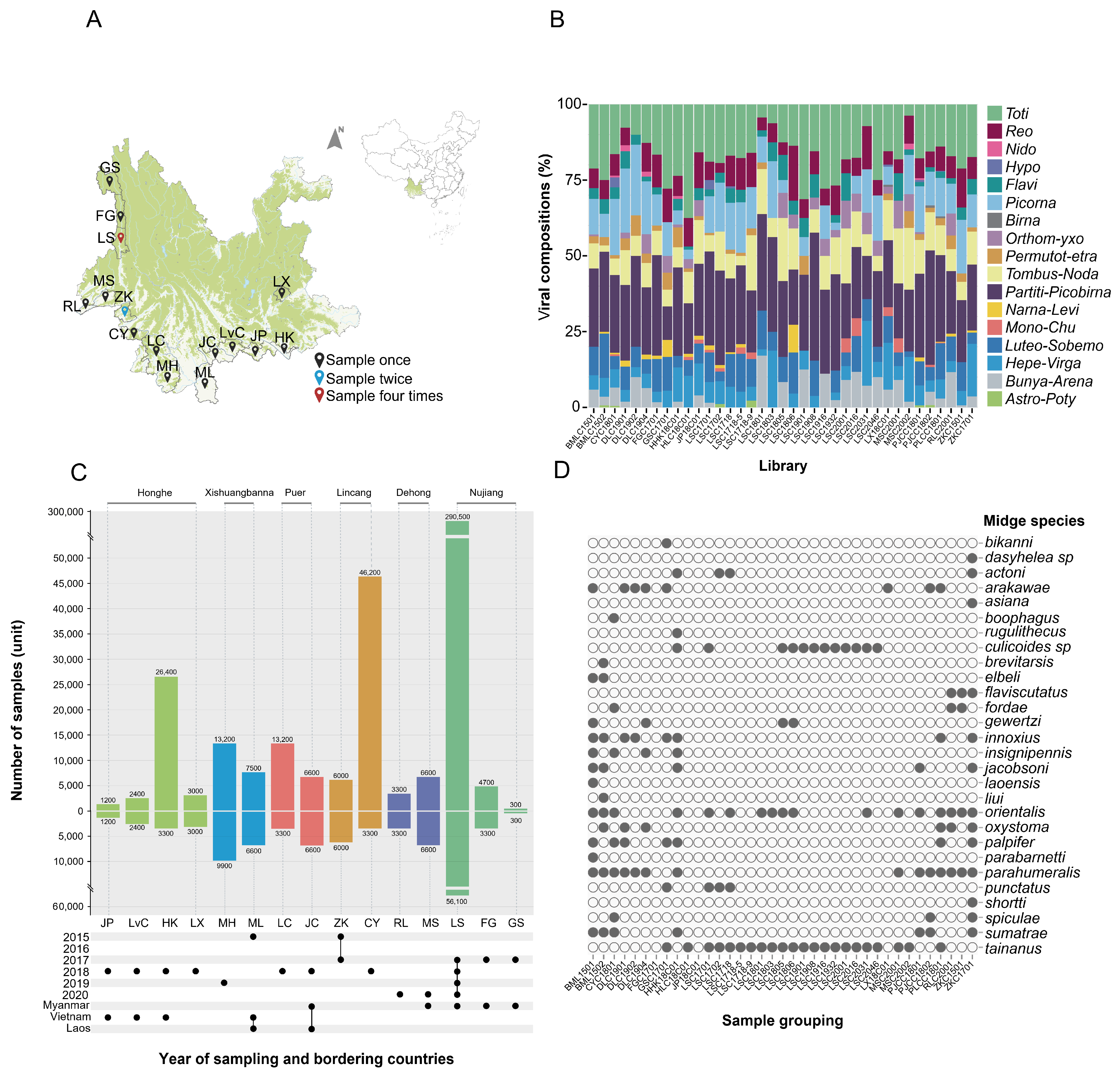 Viruses 16 00674 g001