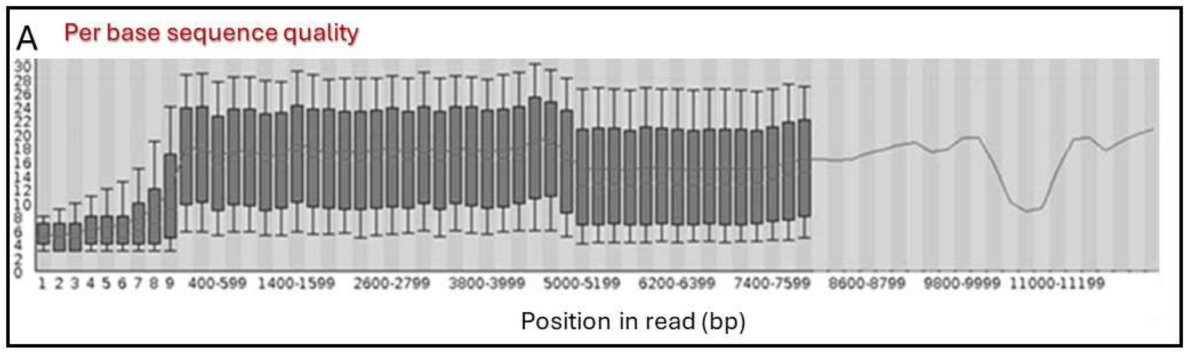 Viruses 16 00686 g001a
