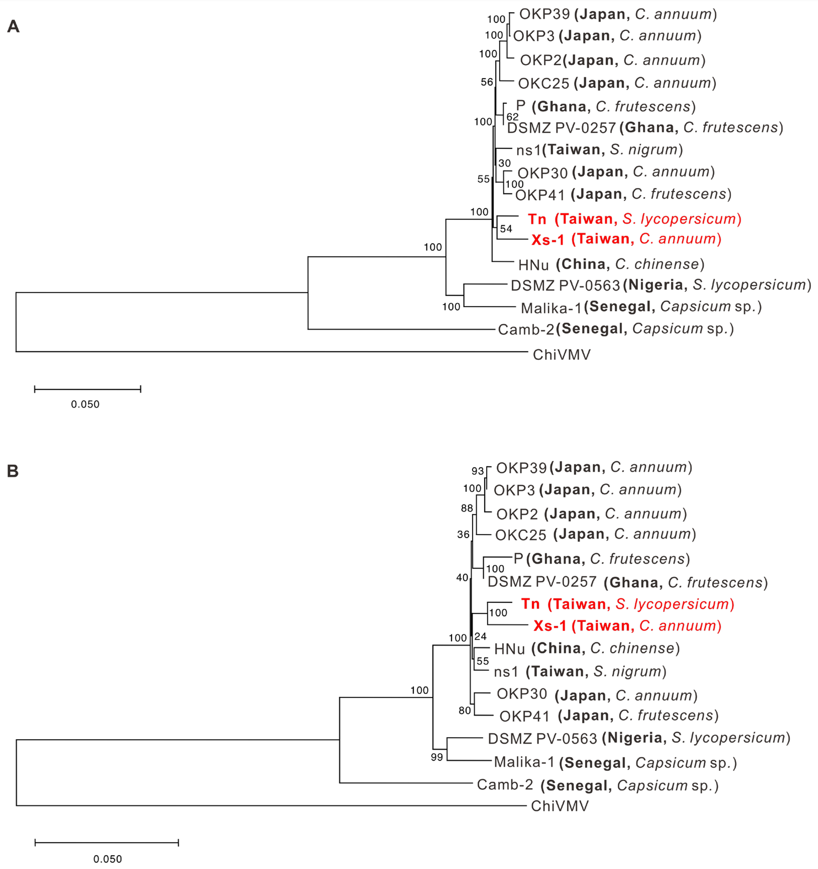 Viruses 16 00687 g004