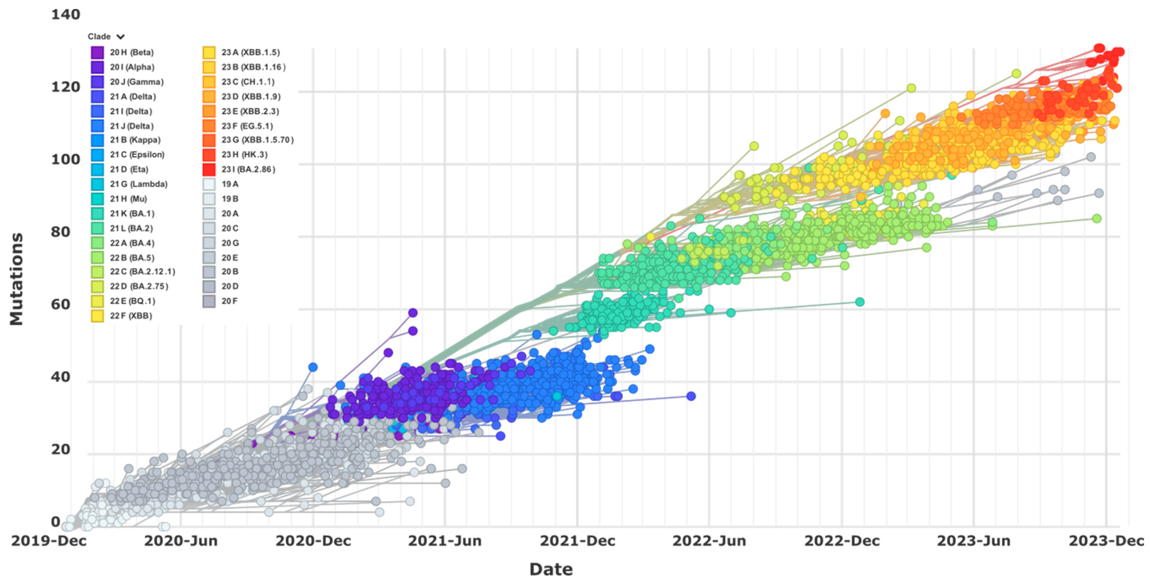 Viruses 16 00697 g001
