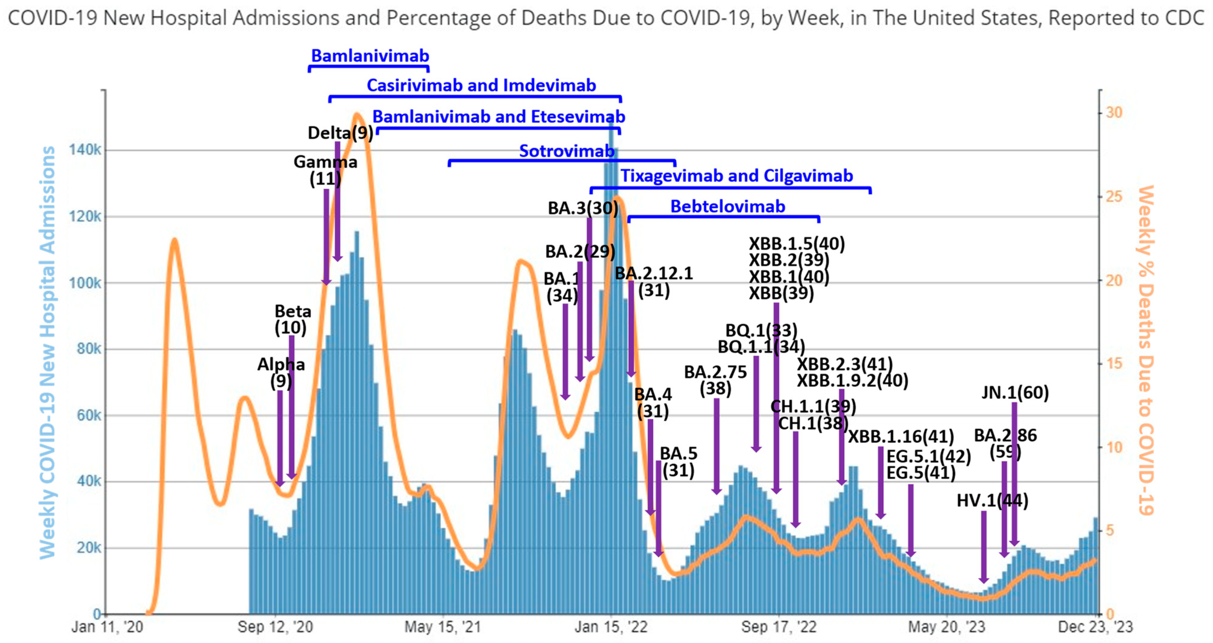 Viruses 16 00697 g002