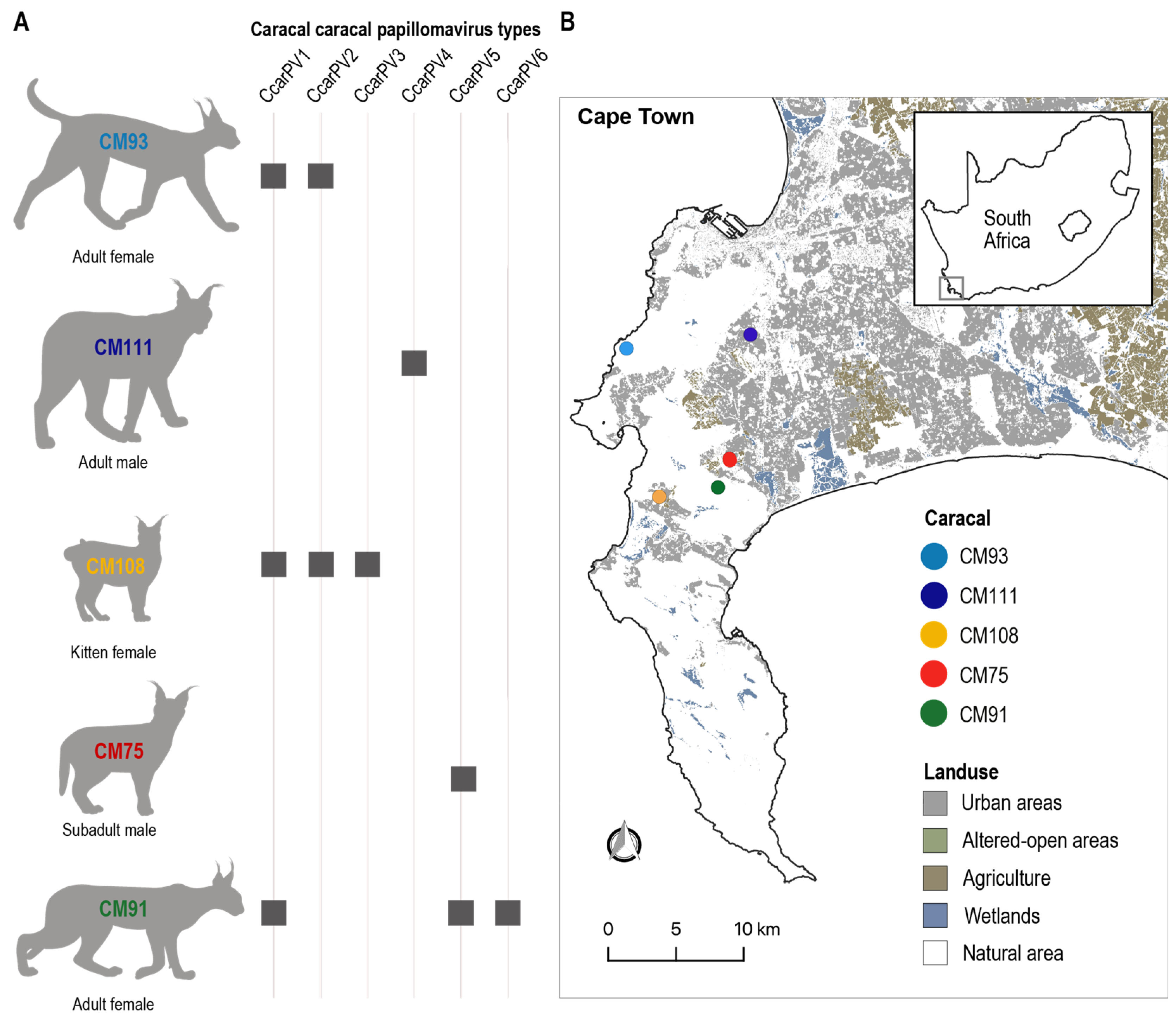 Viruses 16 00701 g001 Viruses 16 00701 g001