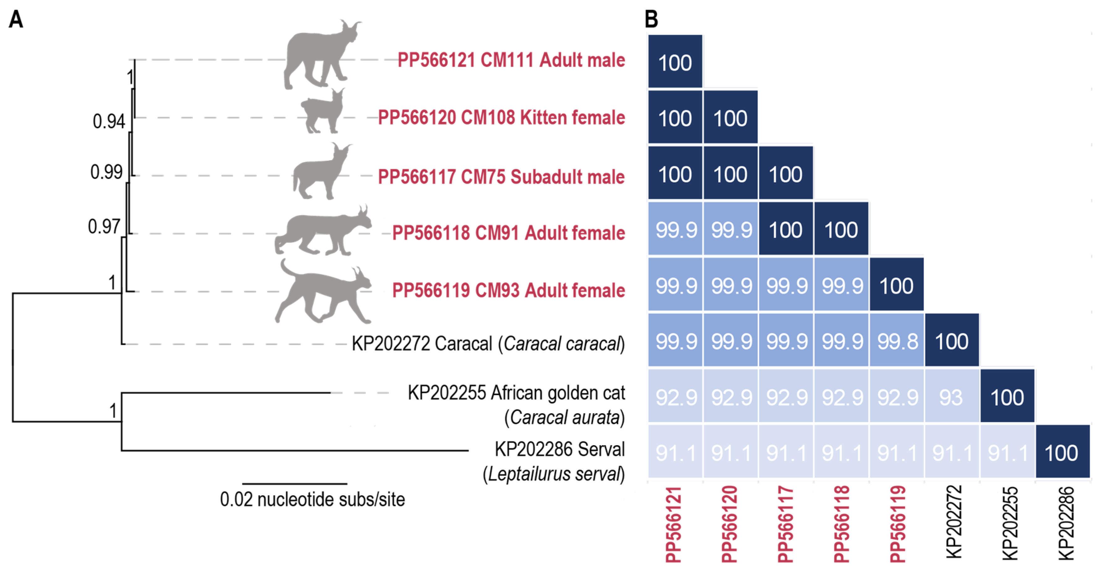 Viruses 16 00701 g003 Viruses 16 00701 g003