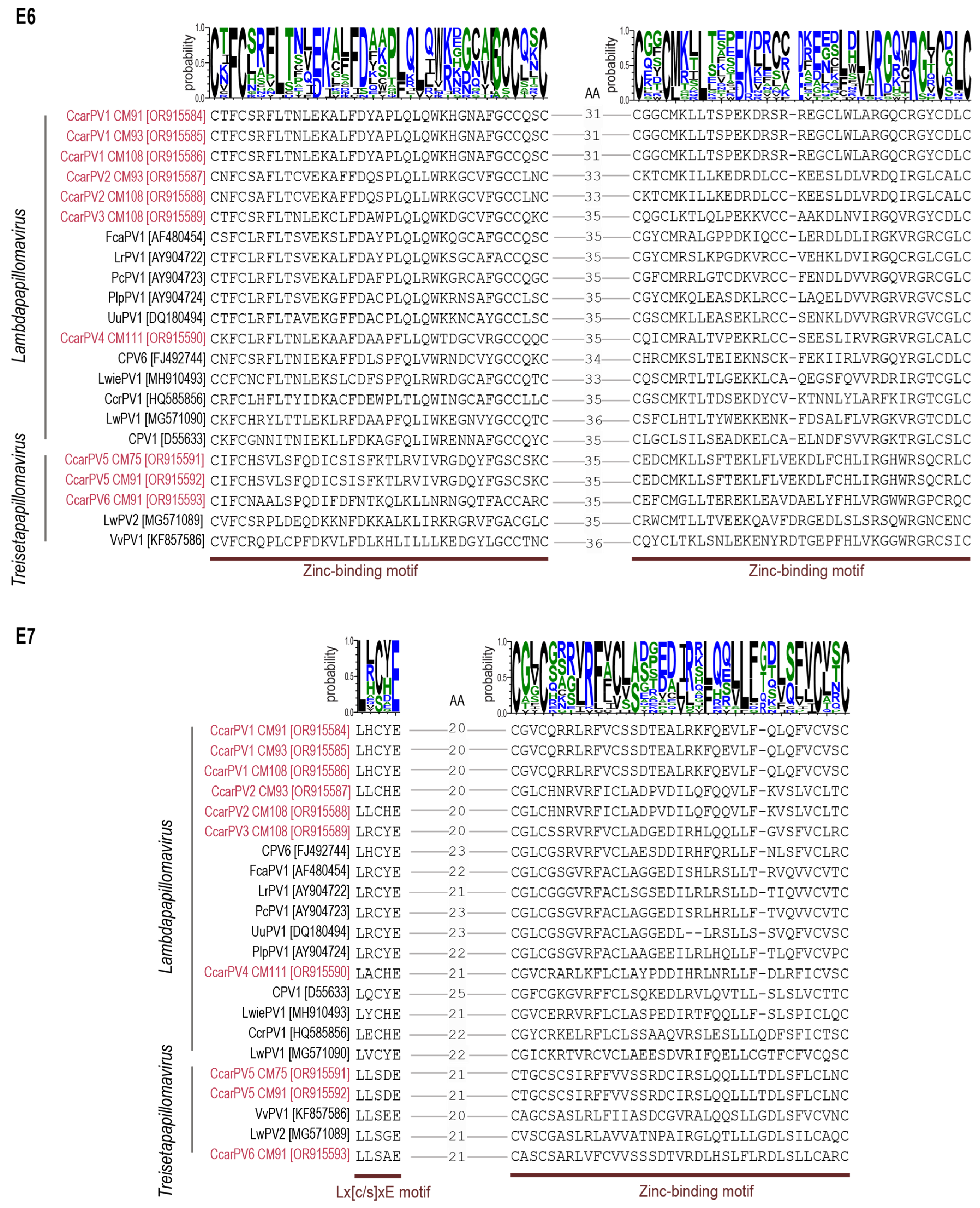 Viruses 16 00701 g006 Viruses 16 00701 g006