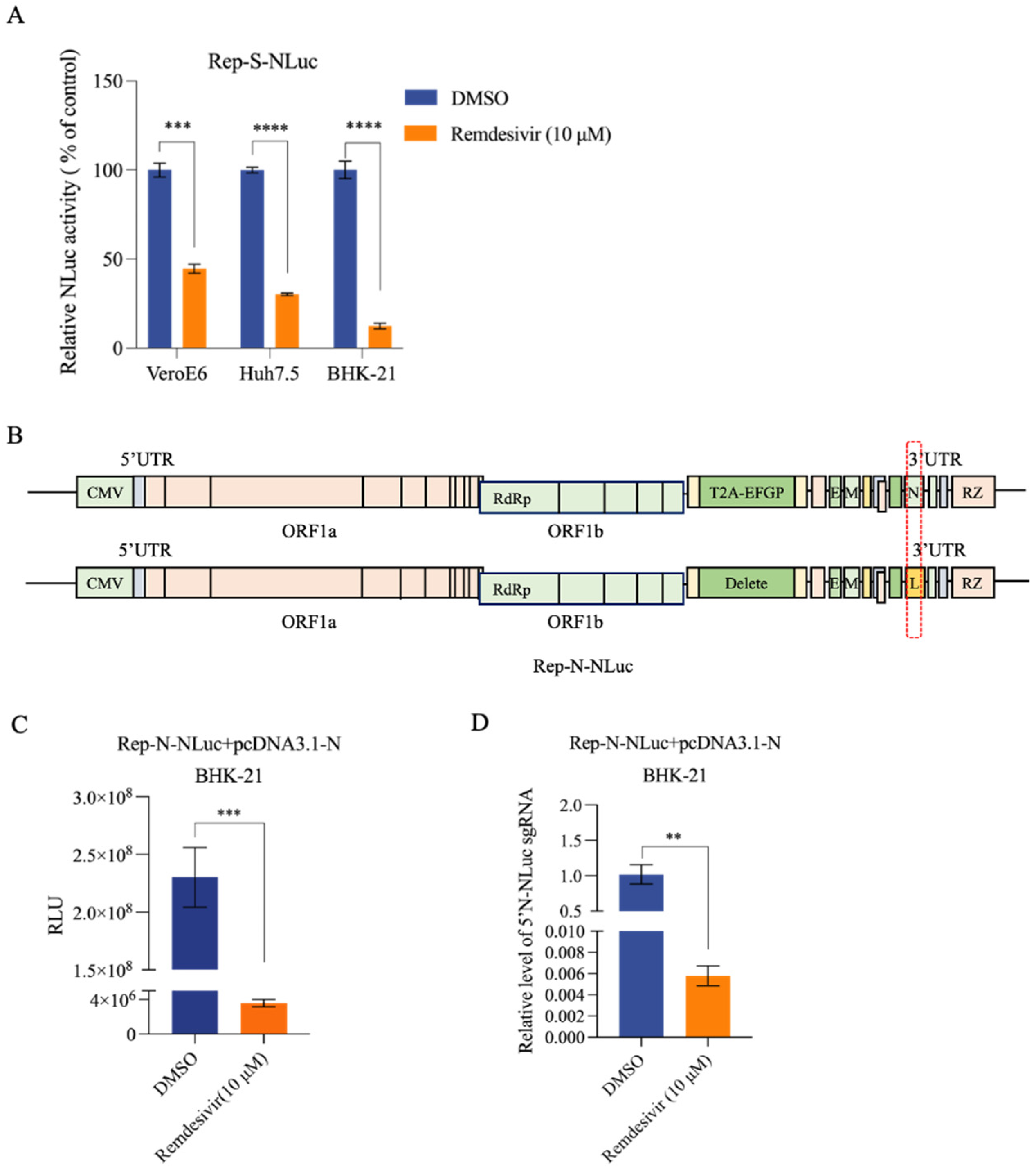 Viruses 16 00708 g003