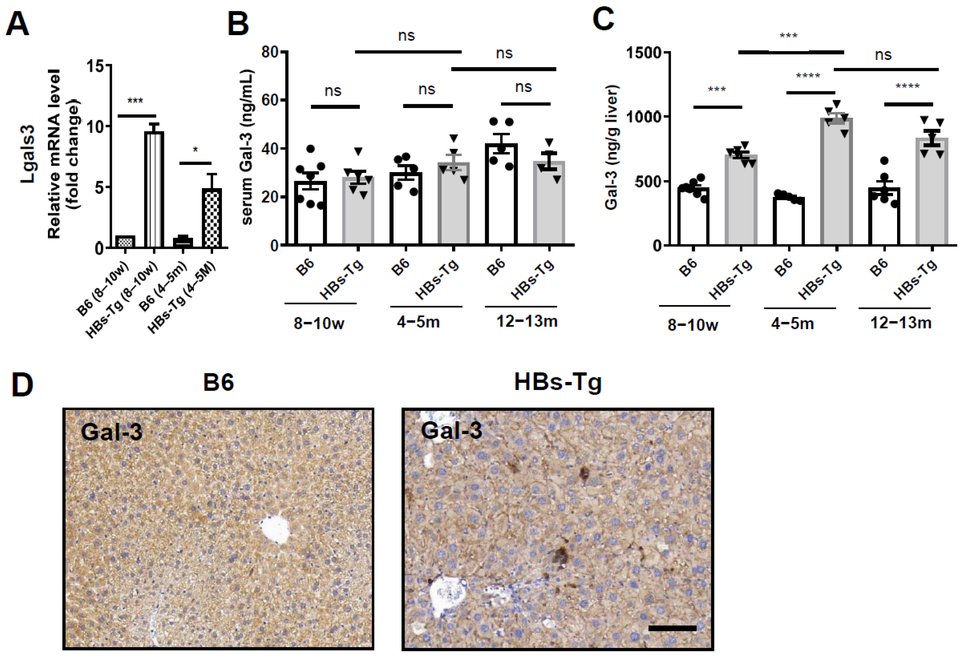 Viruses 16 00737 g005