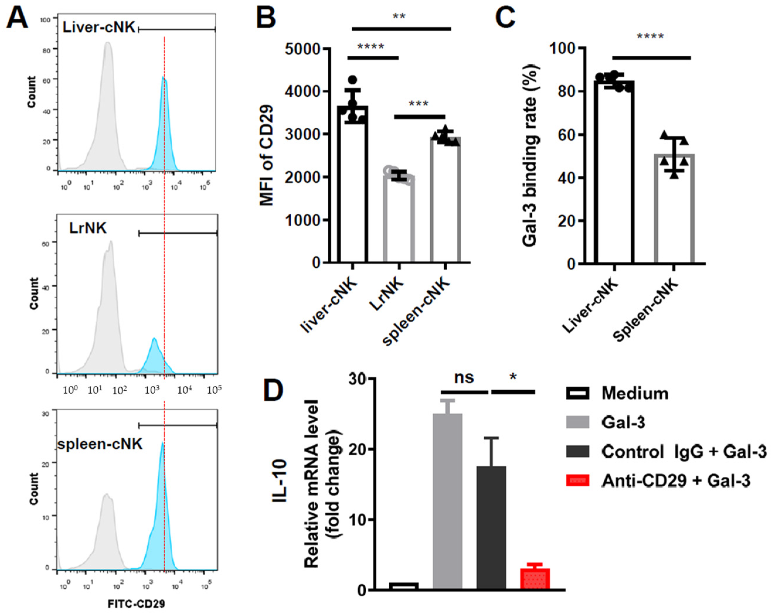 Viruses 16 00737 g007