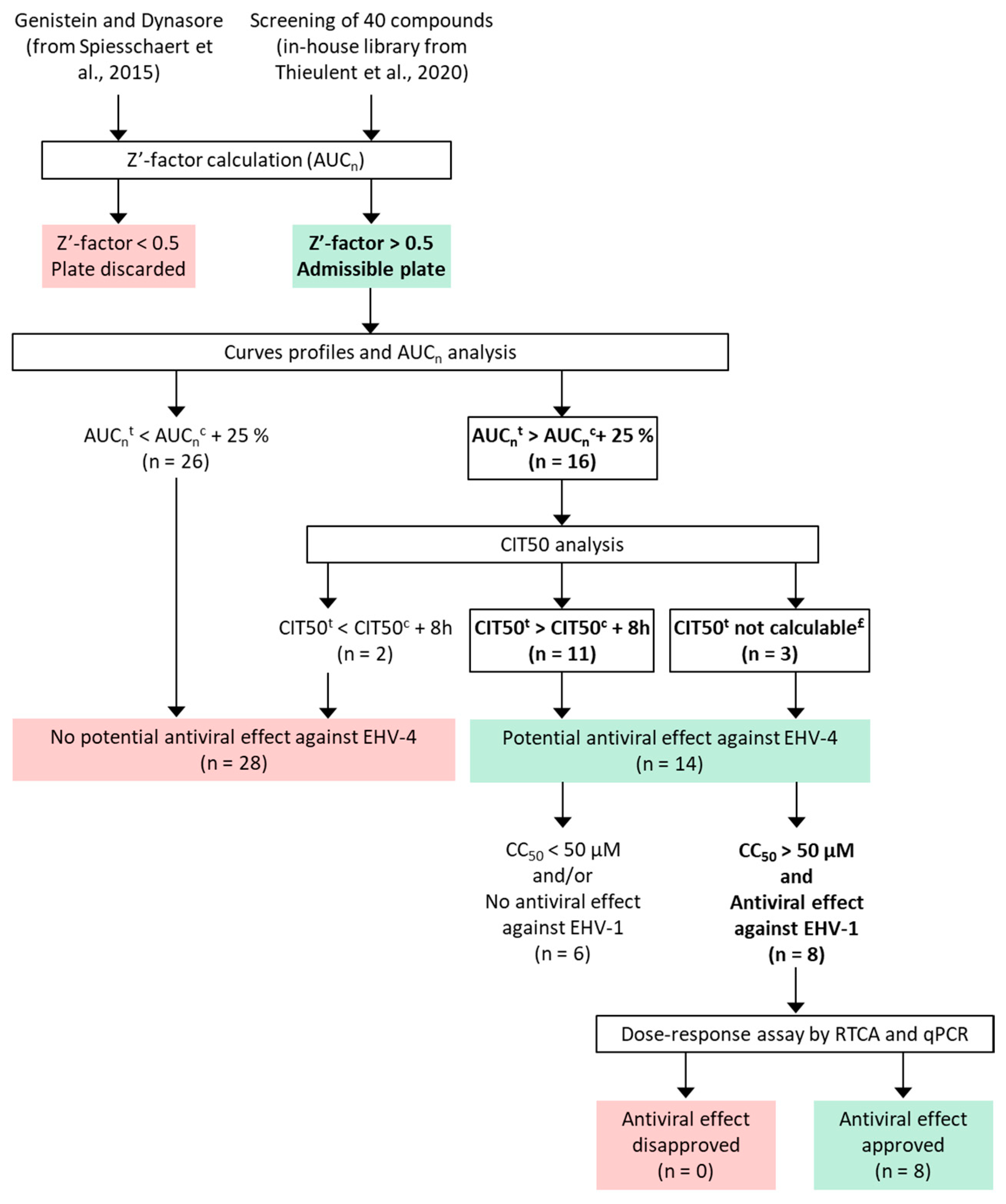 Viruses 16 00746 g001