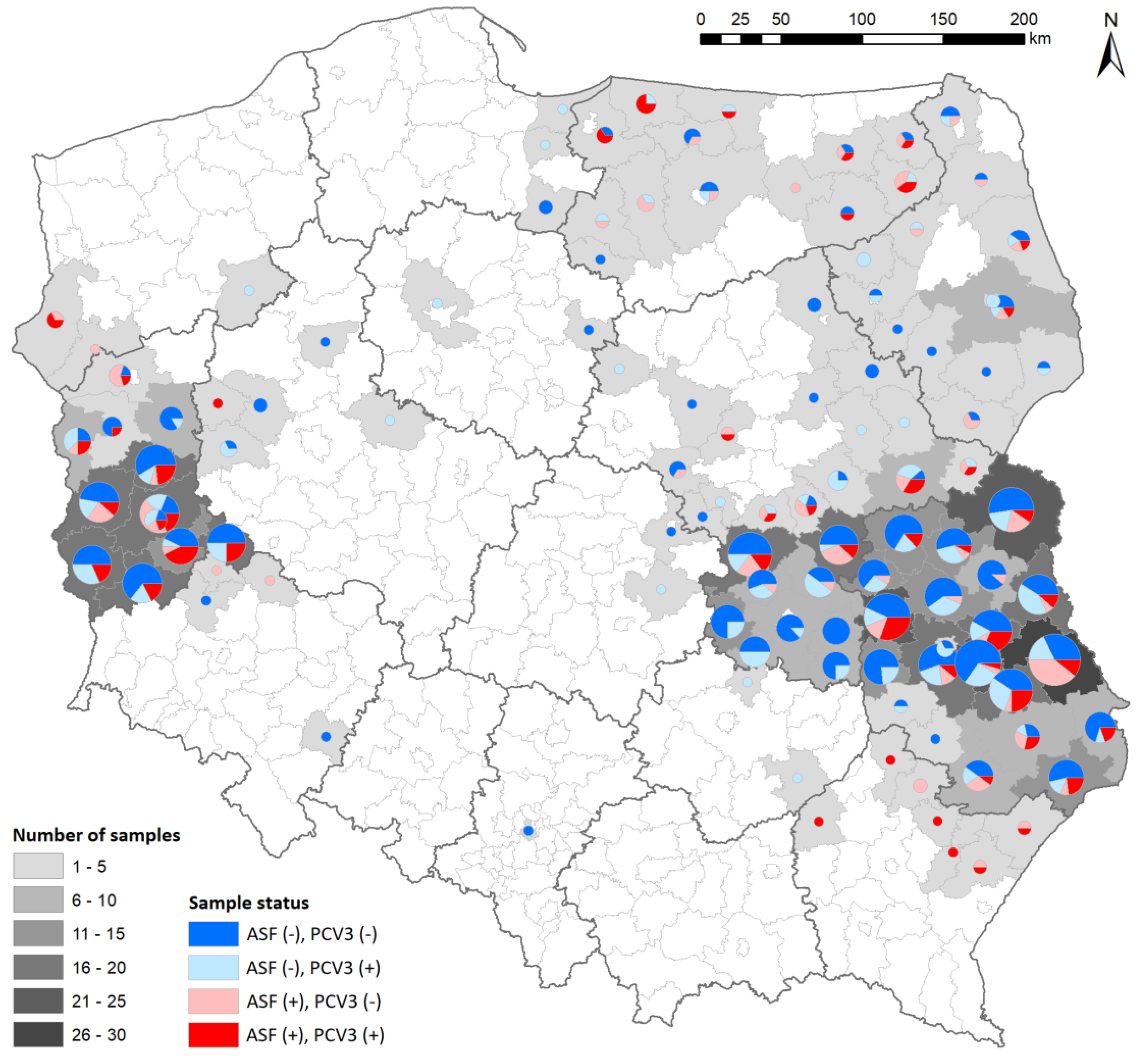 Viruses 16 00754 g001