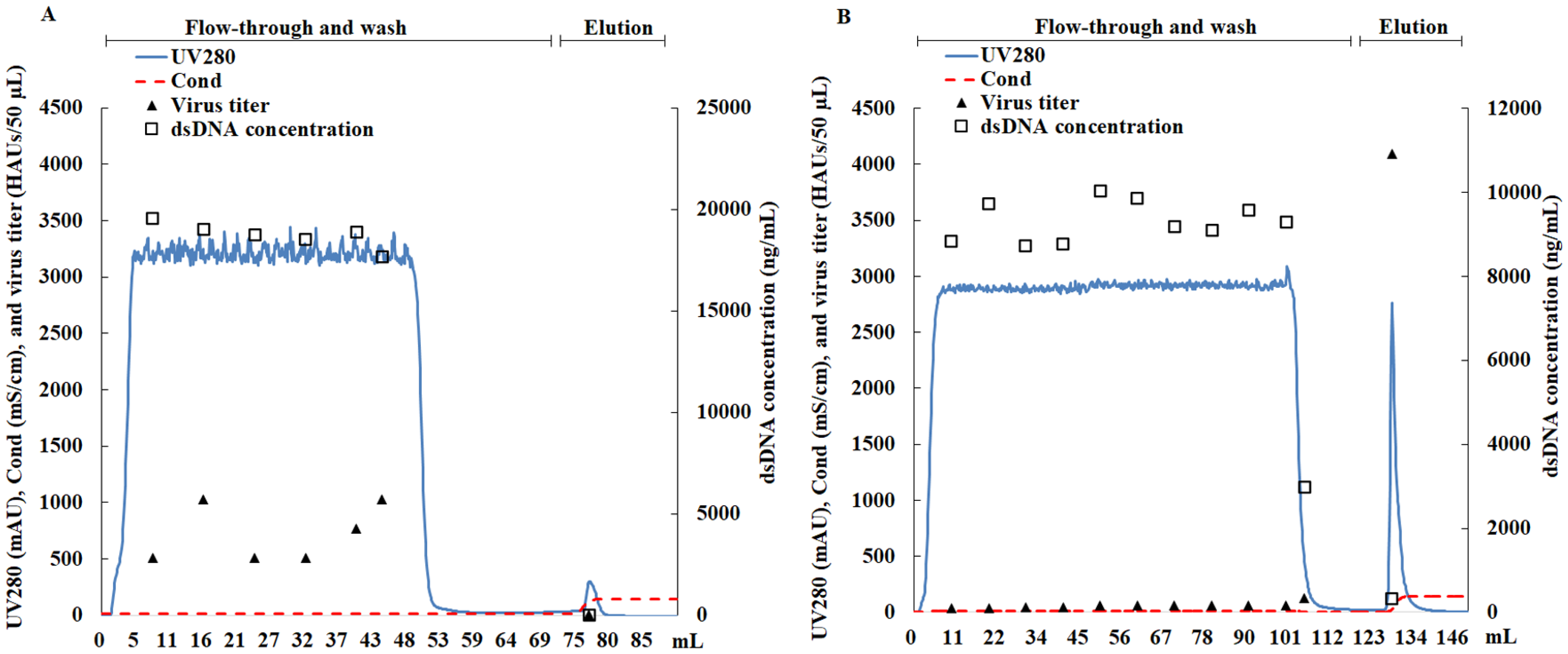 Viruses 16 00768 g002