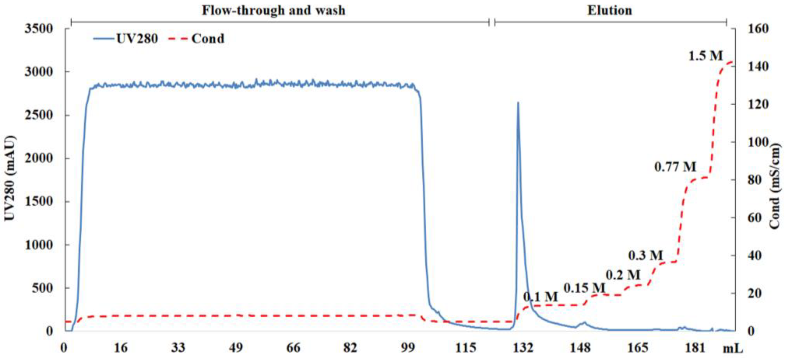 Viruses 16 00768 g003