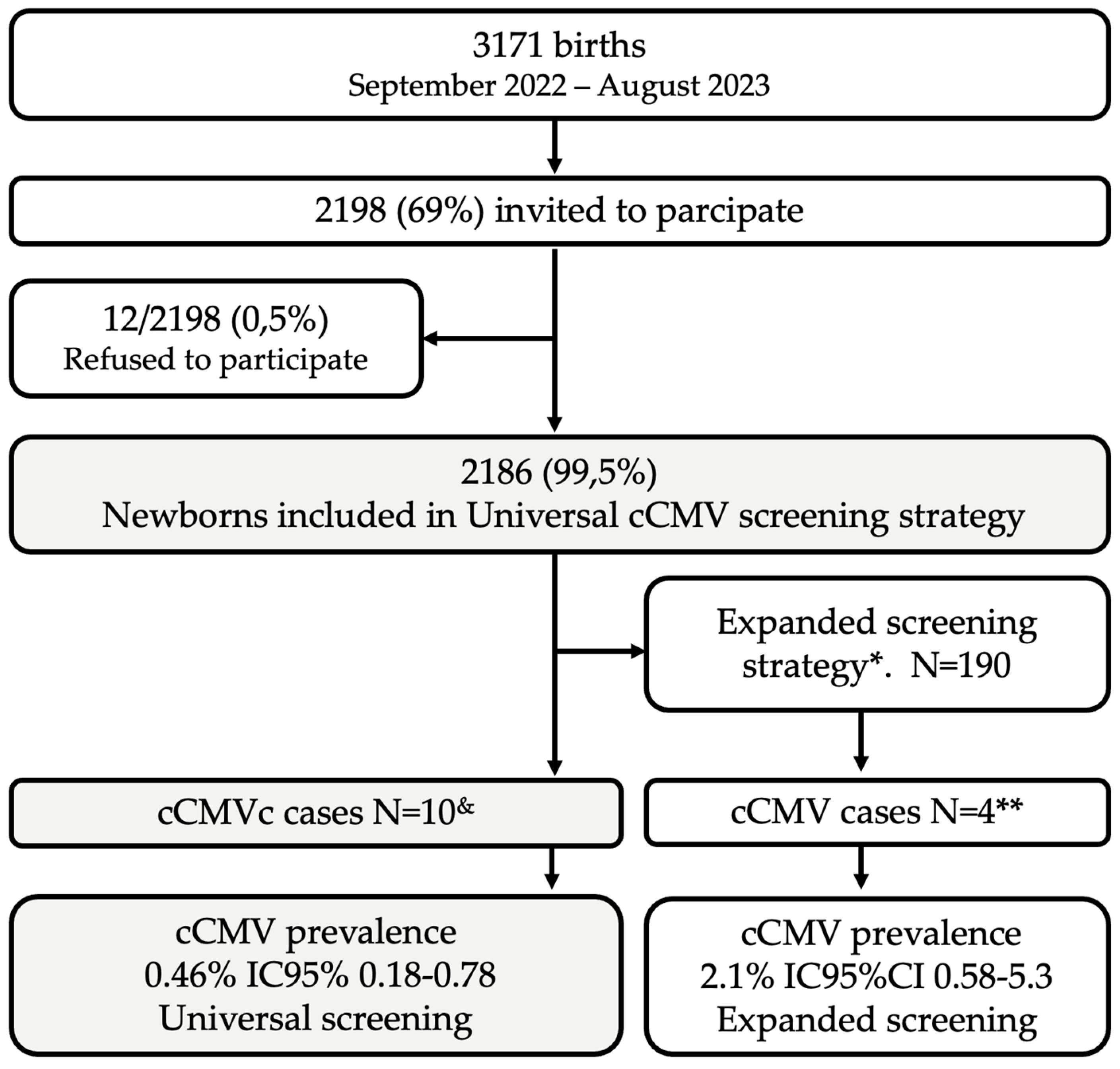 Viruses 16 00772 g001