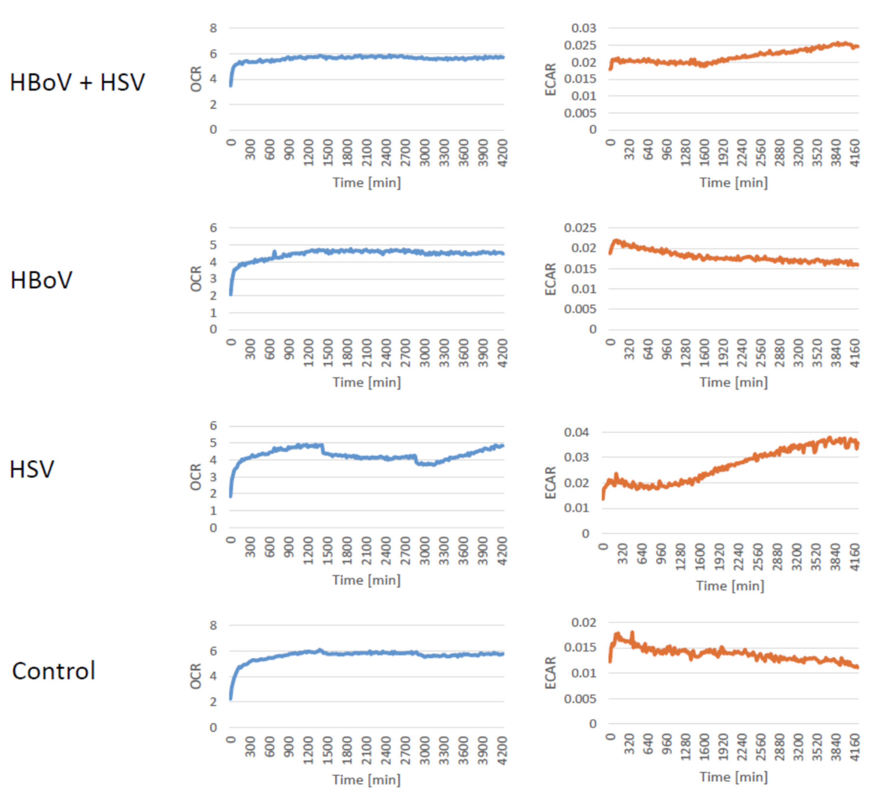 Viruses 16 00773 g003