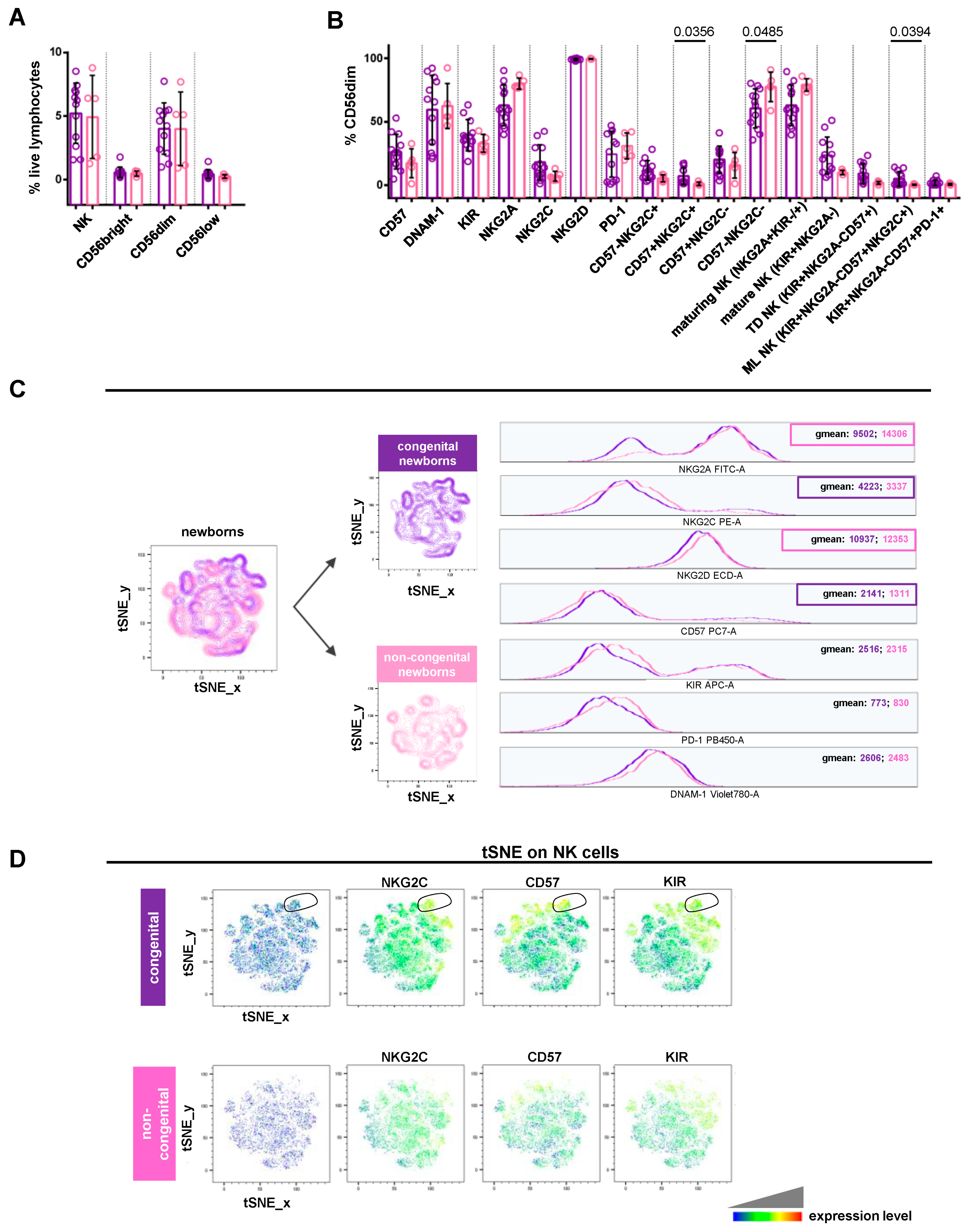 Viruses 16 00780 g004