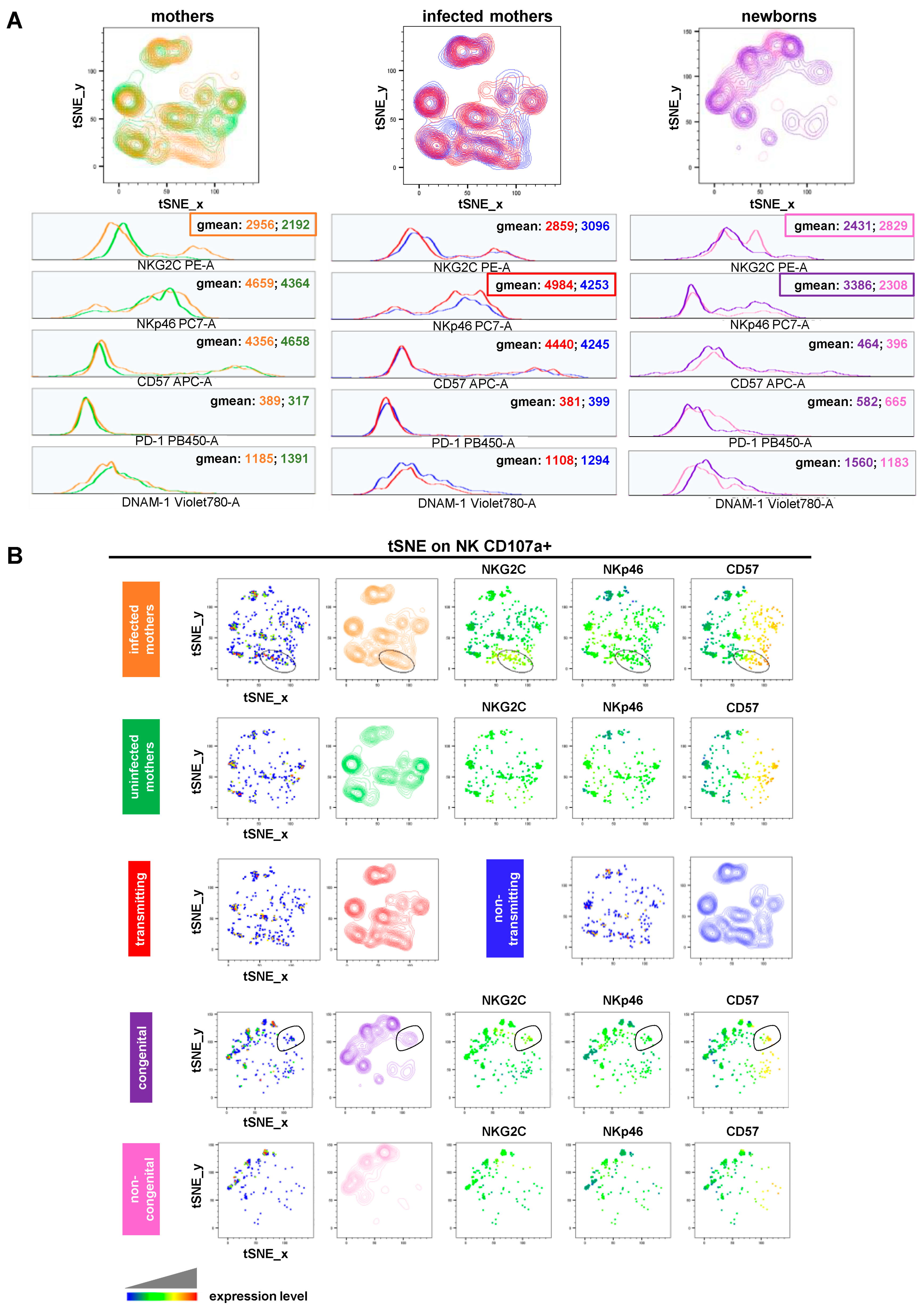 Viruses 16 00780 g005