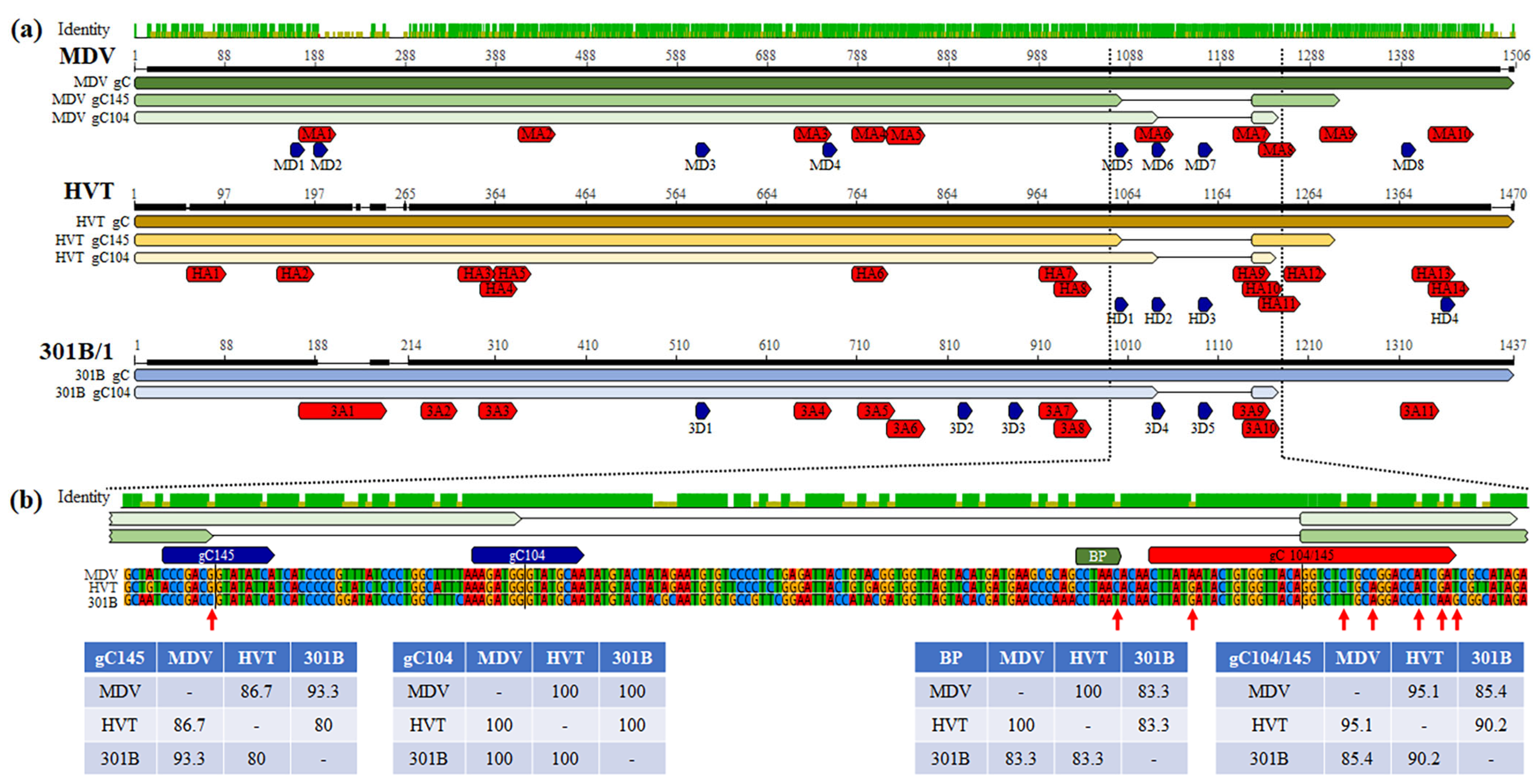 Viruses 16 00782 g004