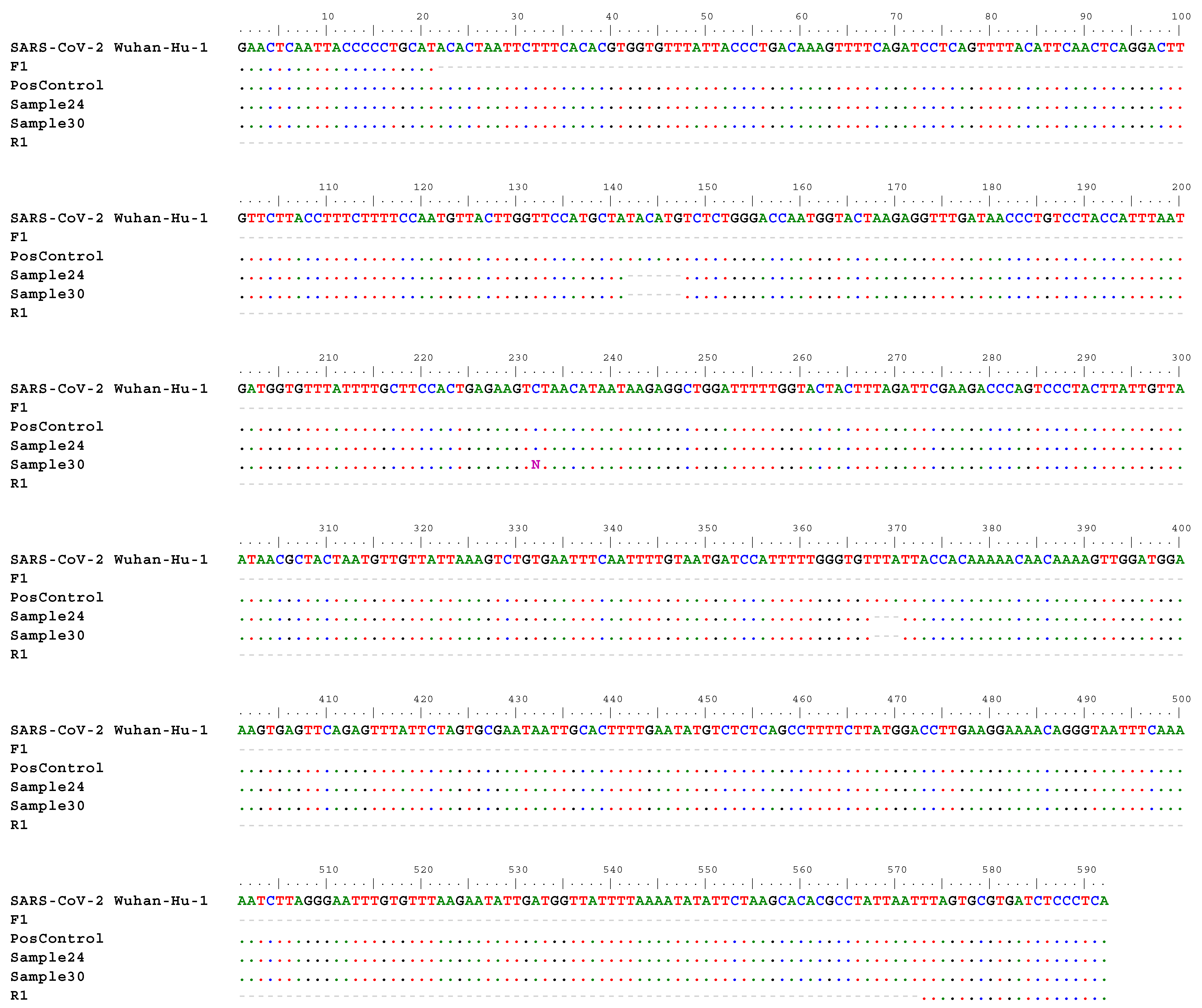 Viruses 16 00786 g003