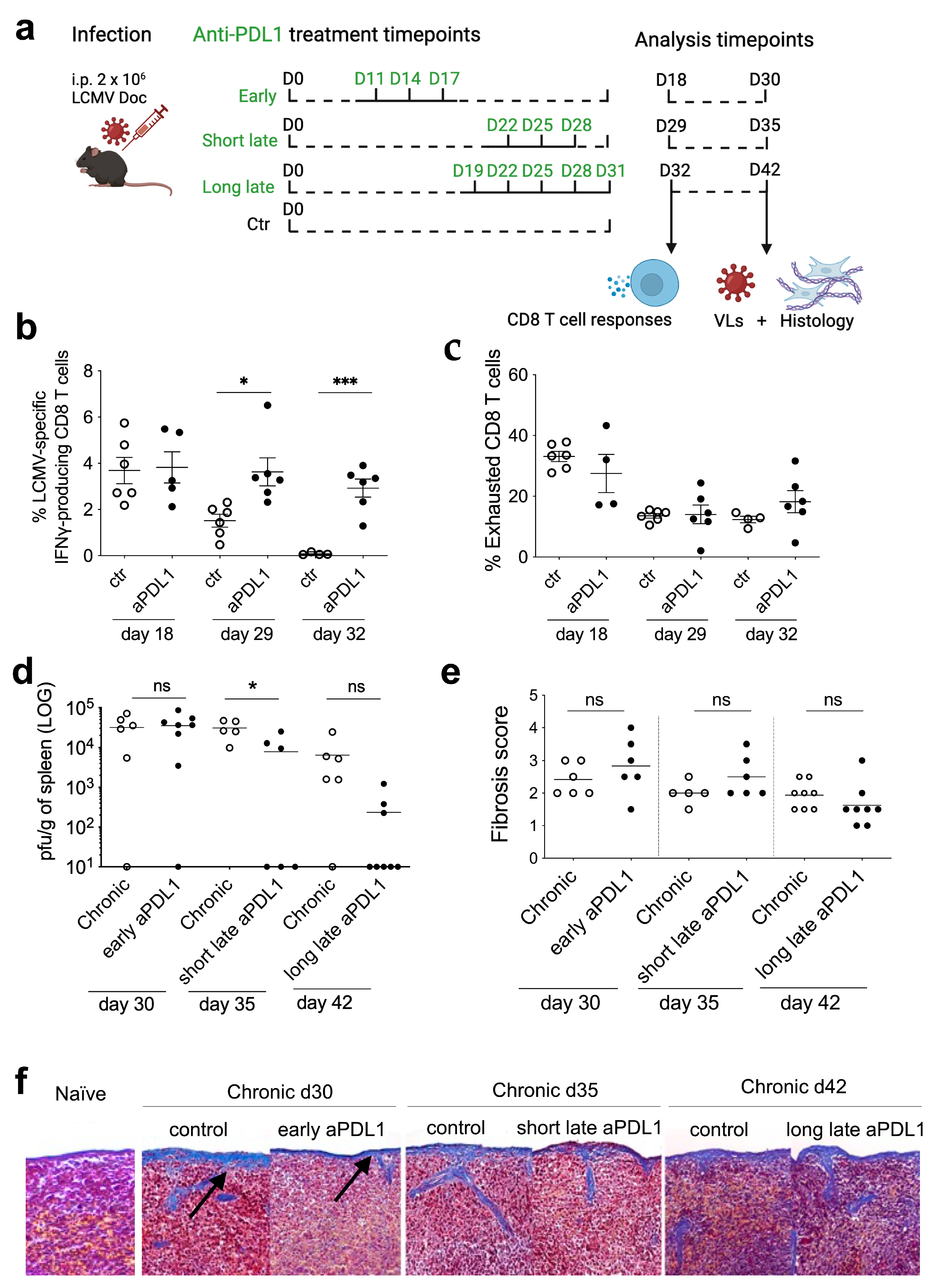 Viruses 16 00799 g001
