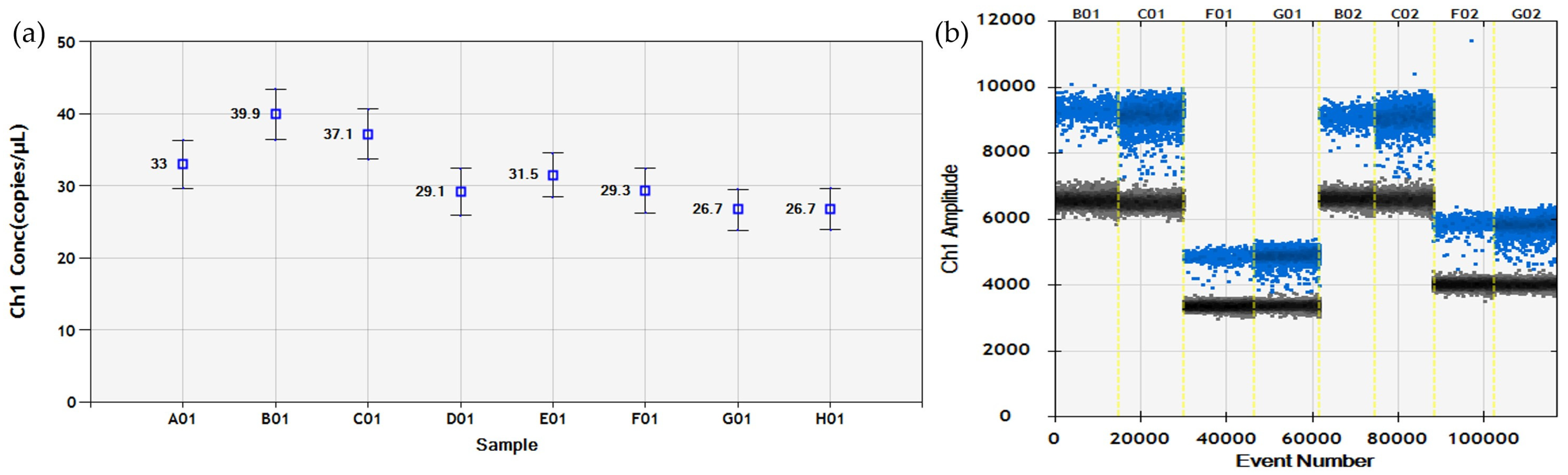 Viruses 16 00806 g002
