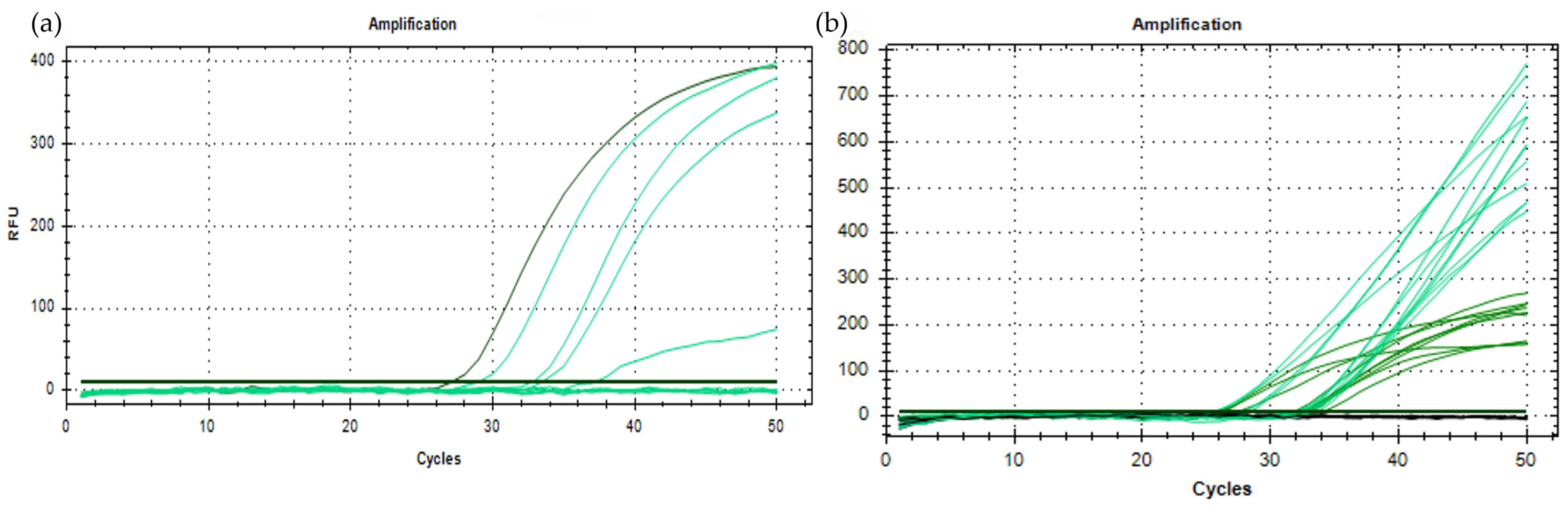 Viruses 16 00806 g003