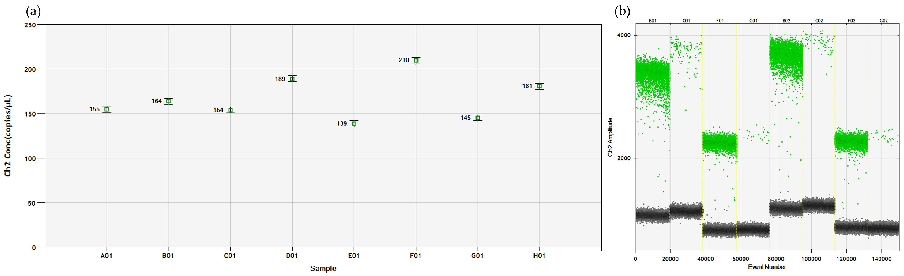 Viruses 16 00806 g004