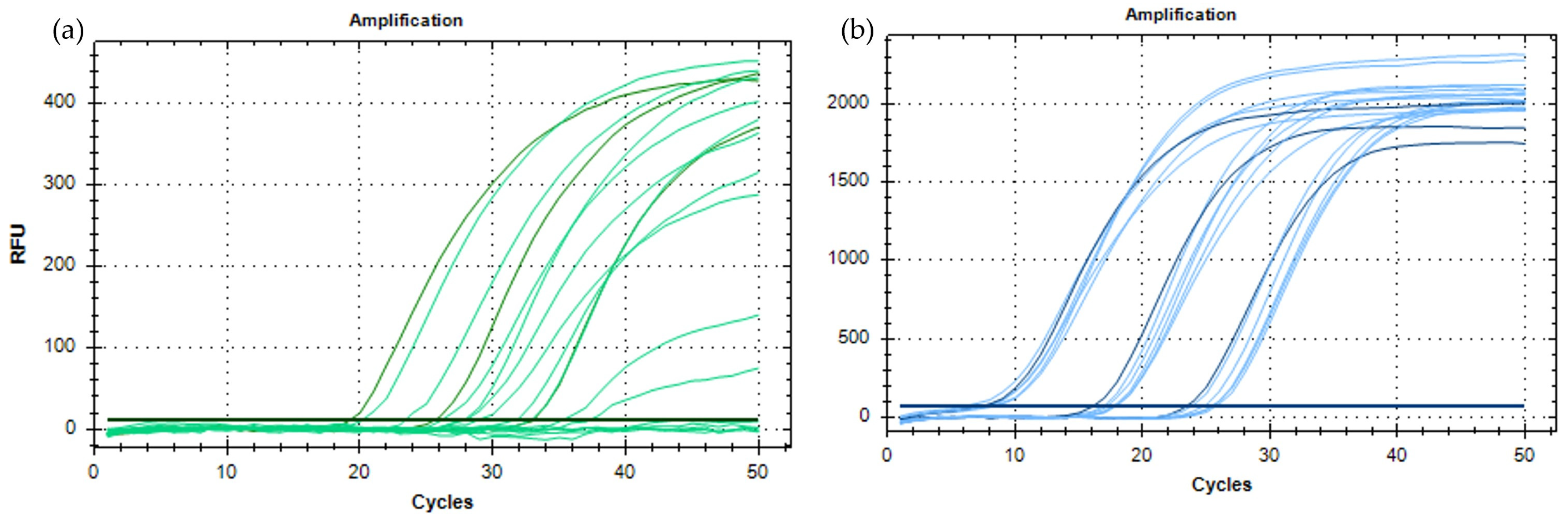 Viruses 16 00806 g005