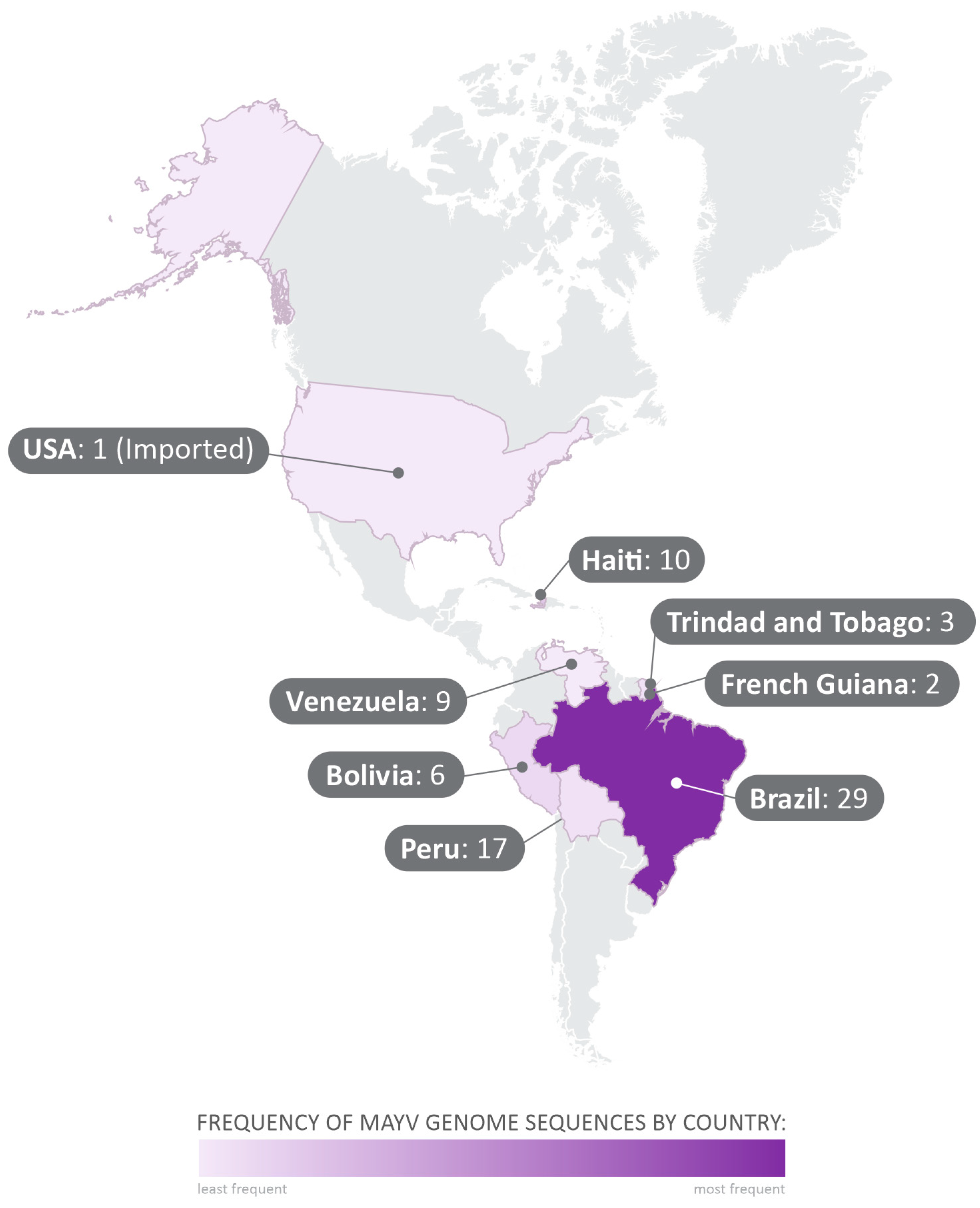 Viruses 16 00809 g002