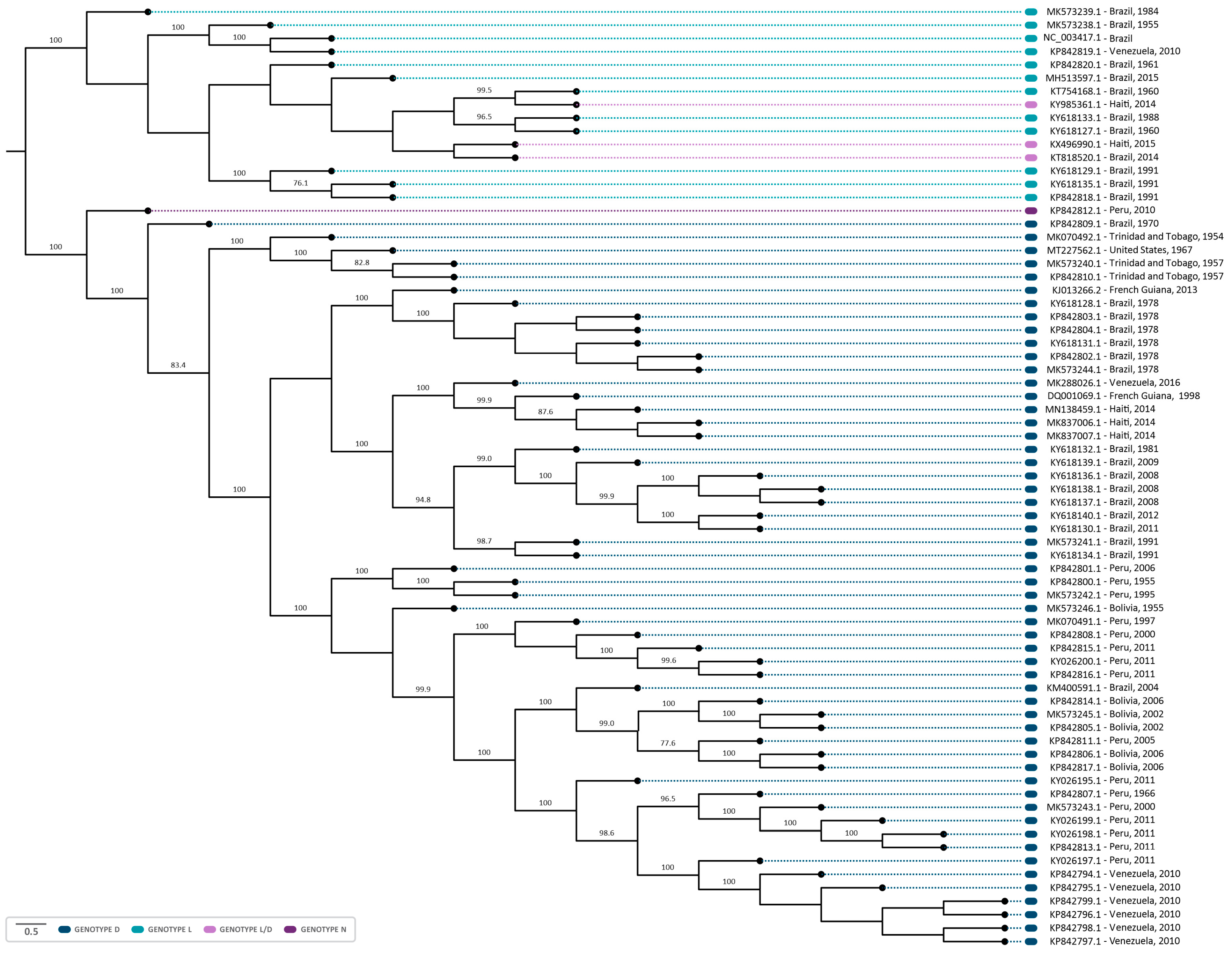 Viruses 16 00809 g004