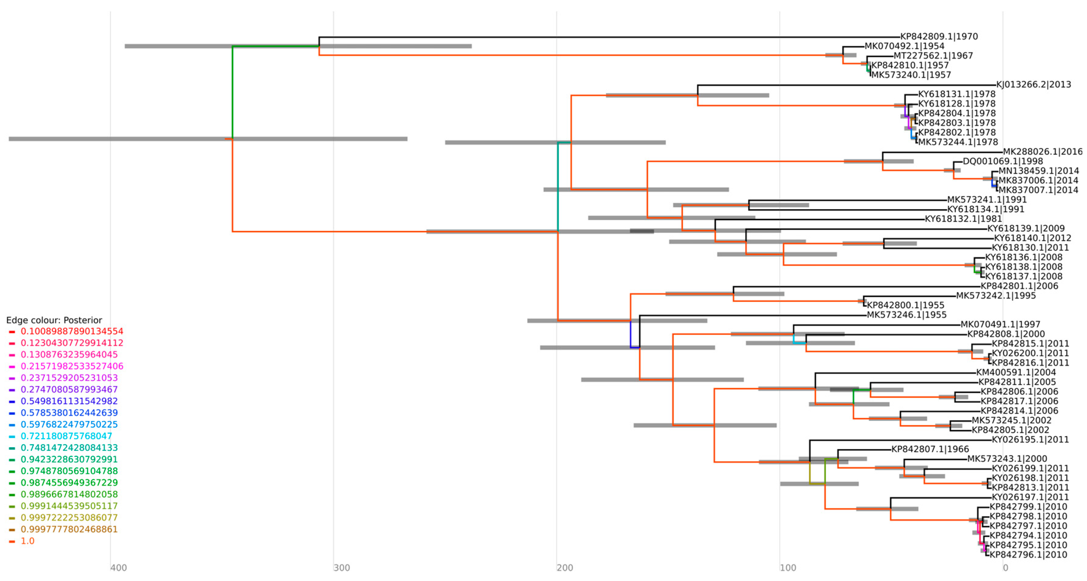 Viruses 16 00809 g005