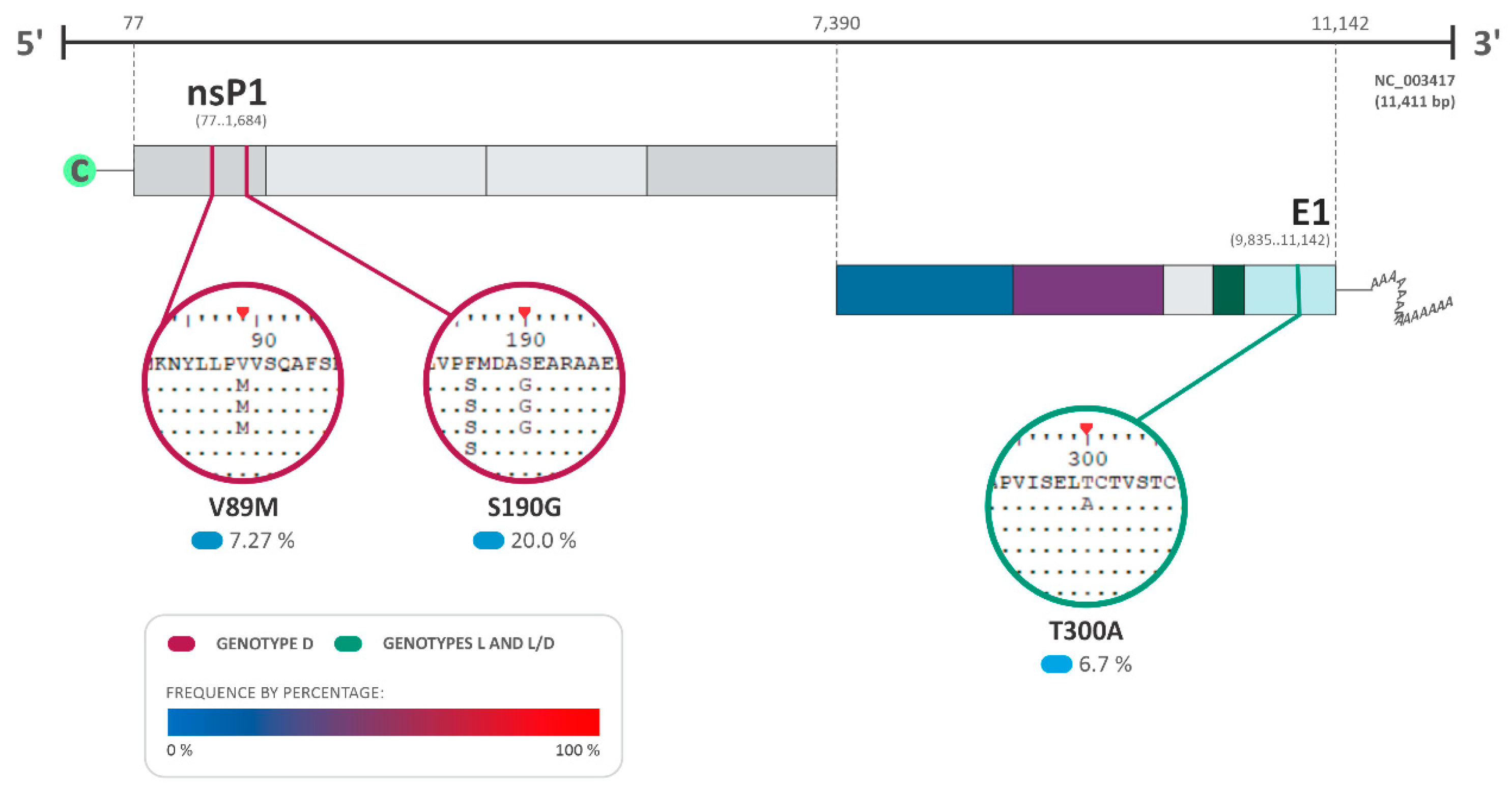 Viruses 16 00809 g006