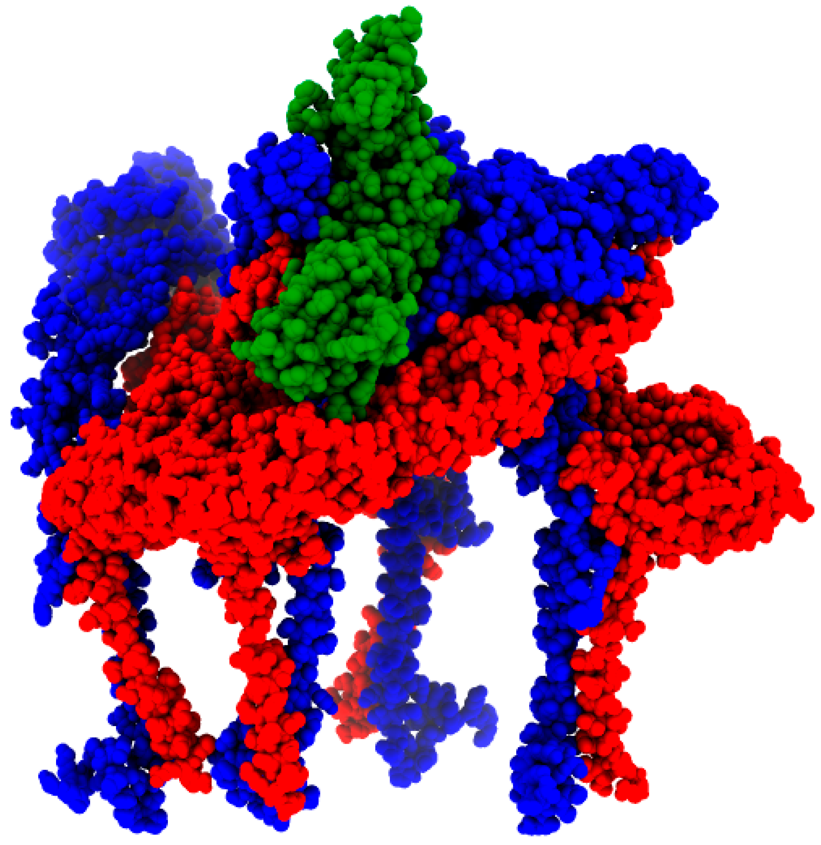 Viruses 16 00809 g008