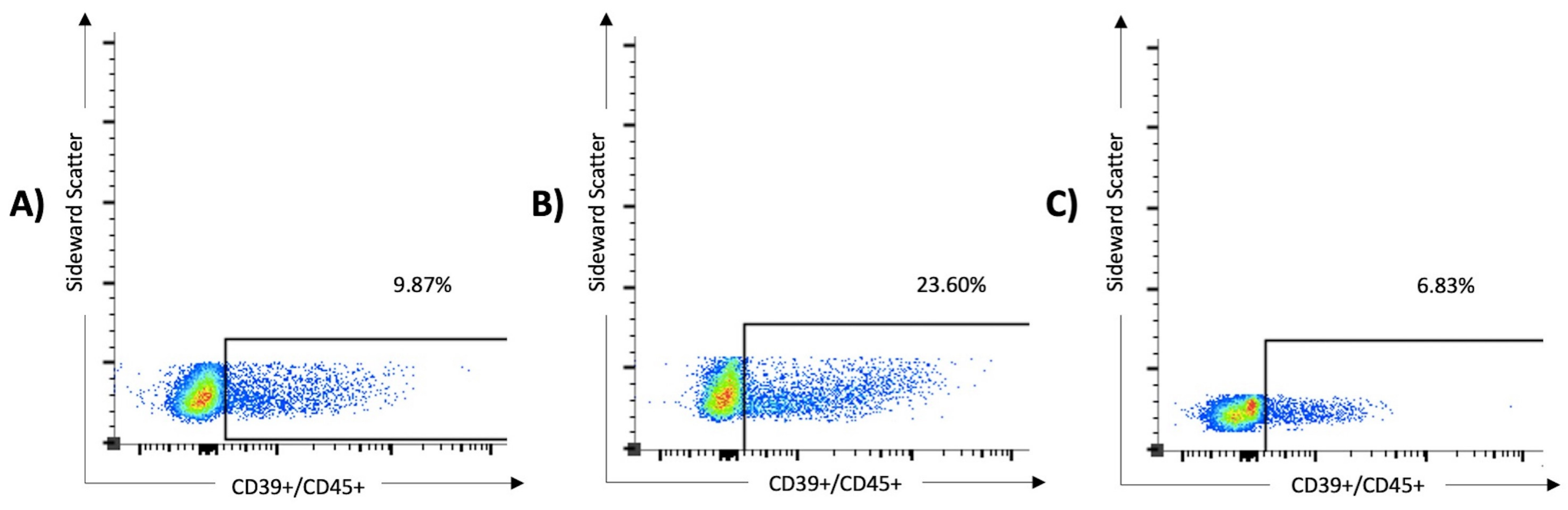 Viruses 16 00810 g002