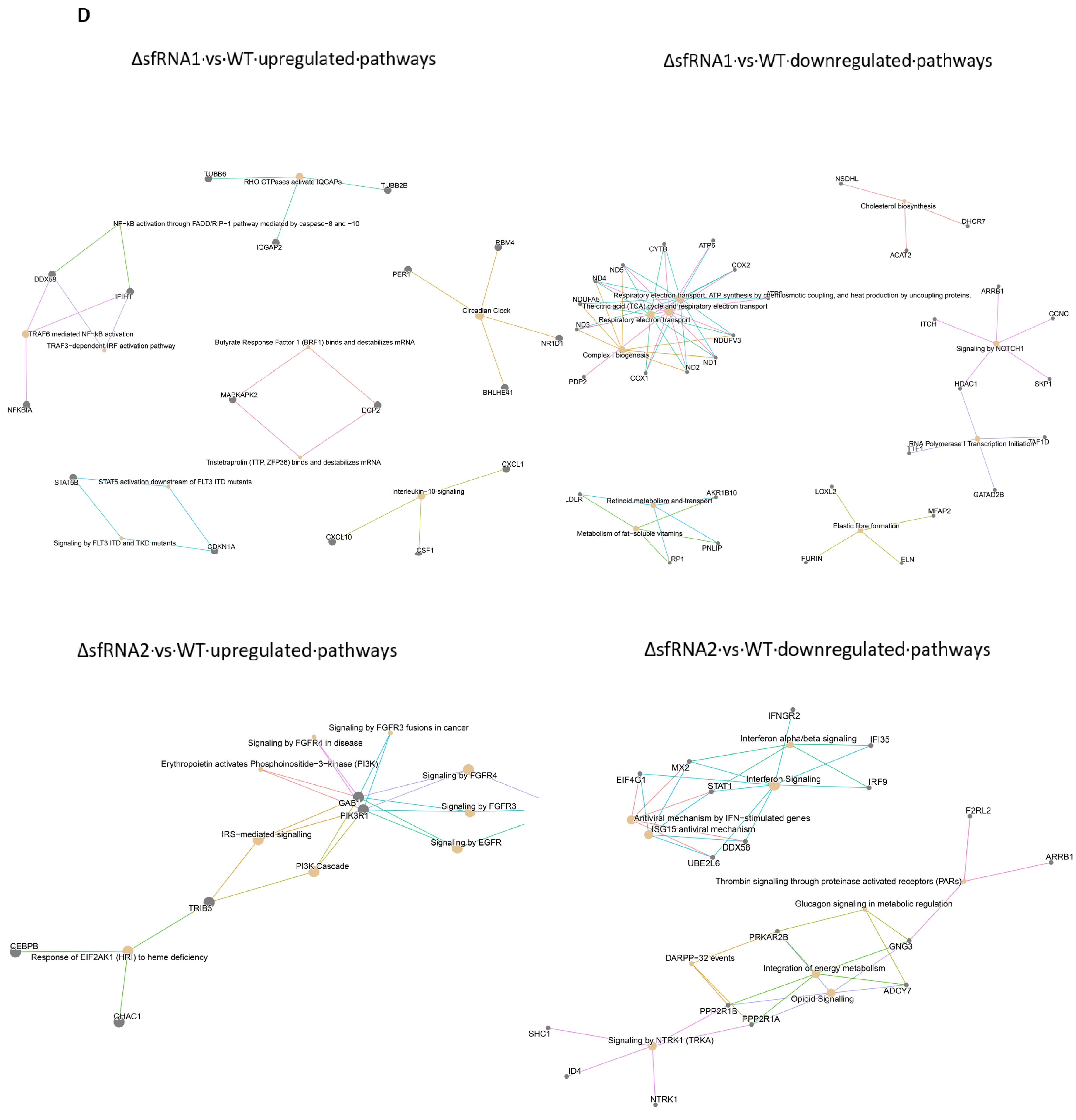 Viruses 16 00812 g003c