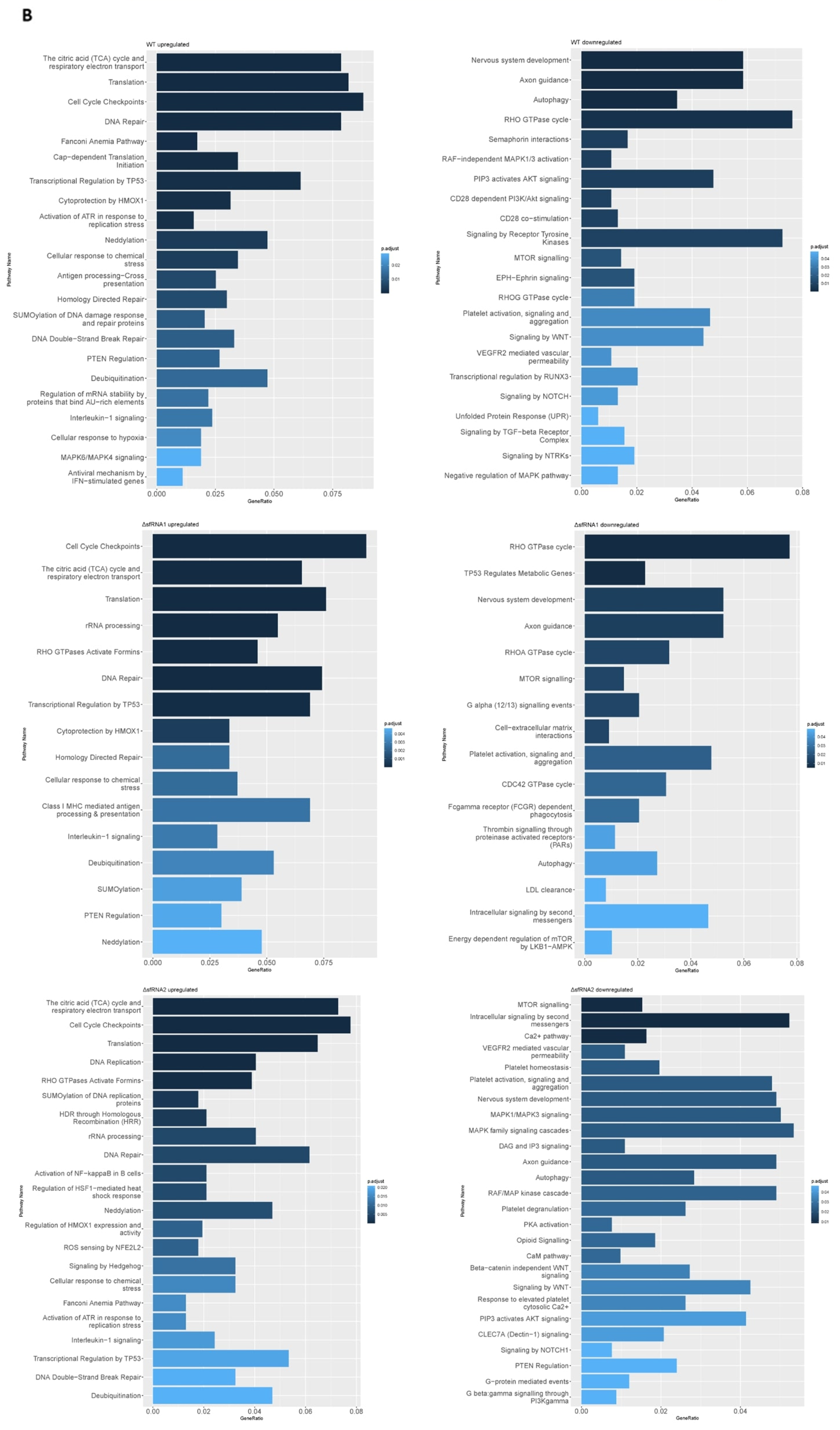 Viruses 16 00812 g004b