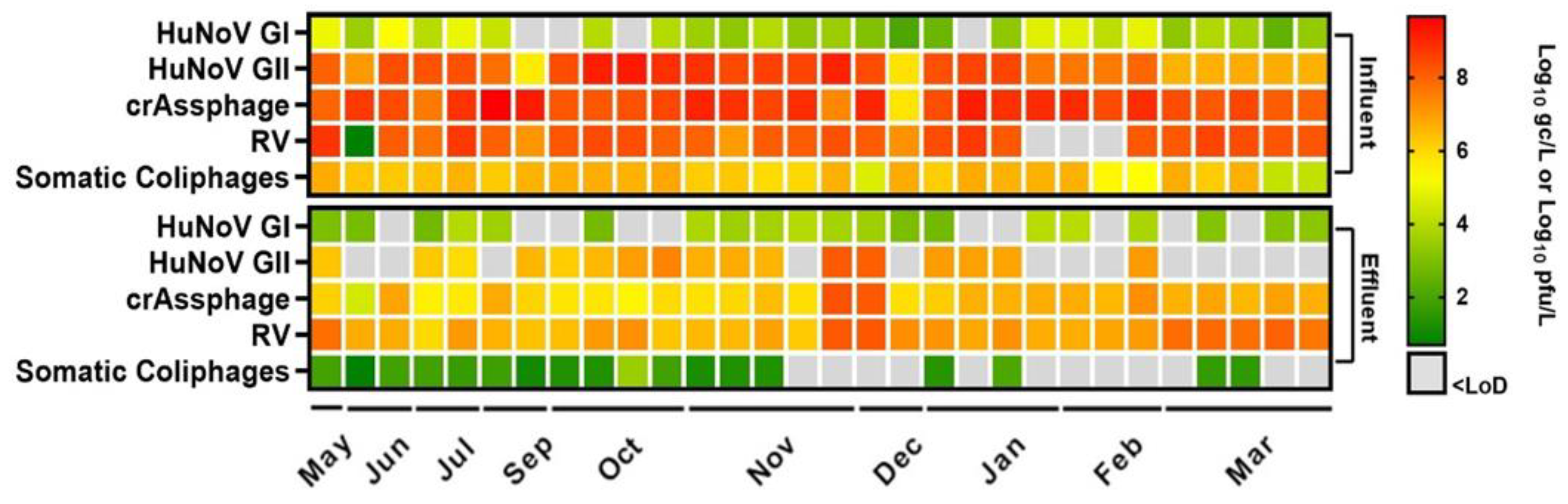 Viruses 16 00816 g001