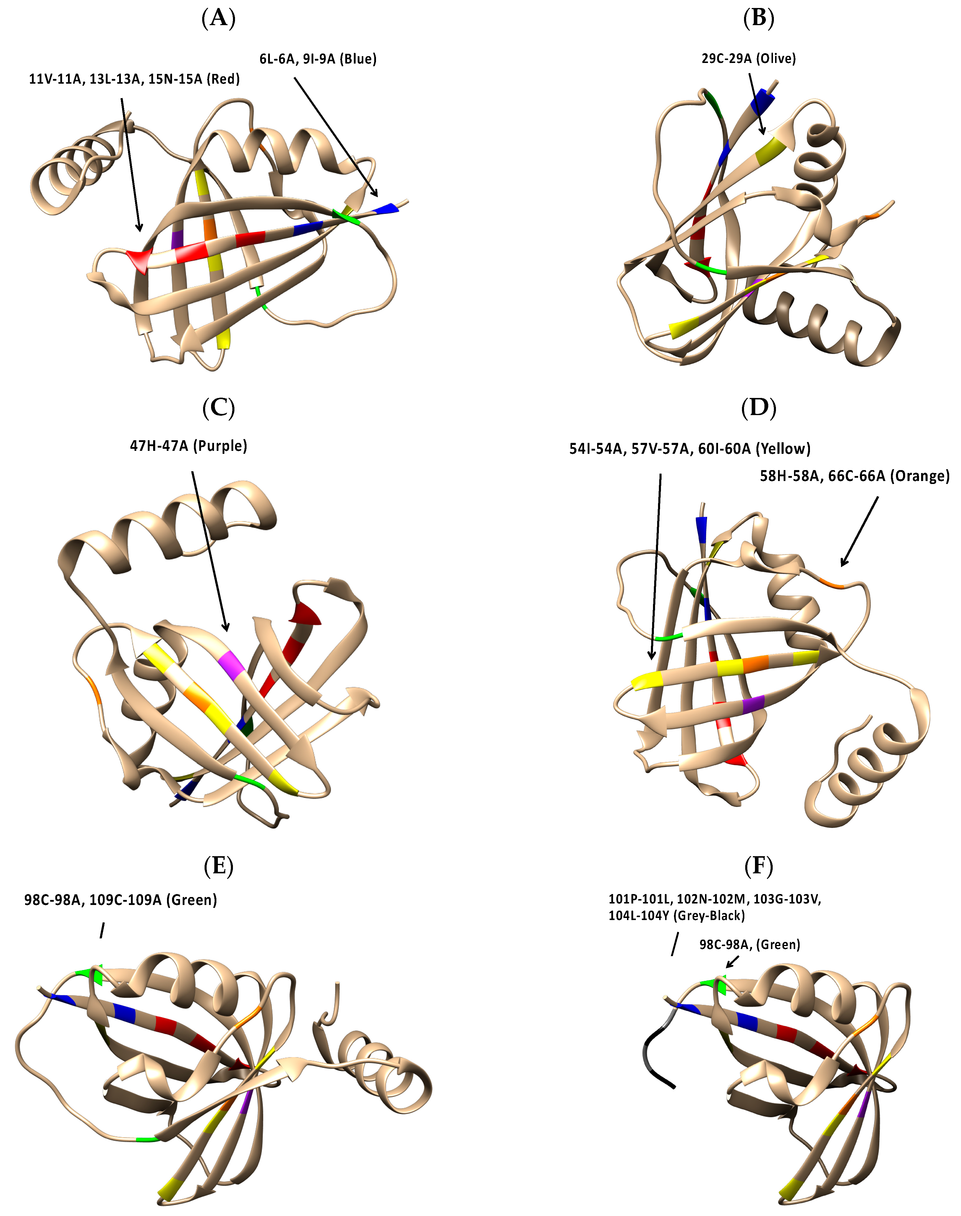 Viruses 16 00821 g005