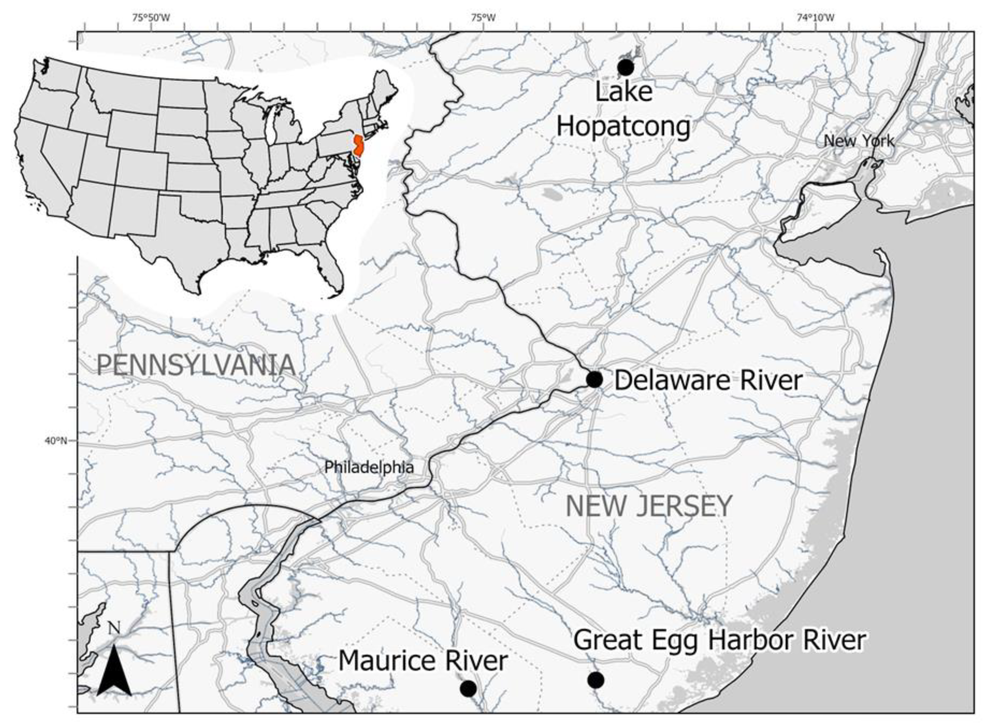 Viruses 16 00824 g001