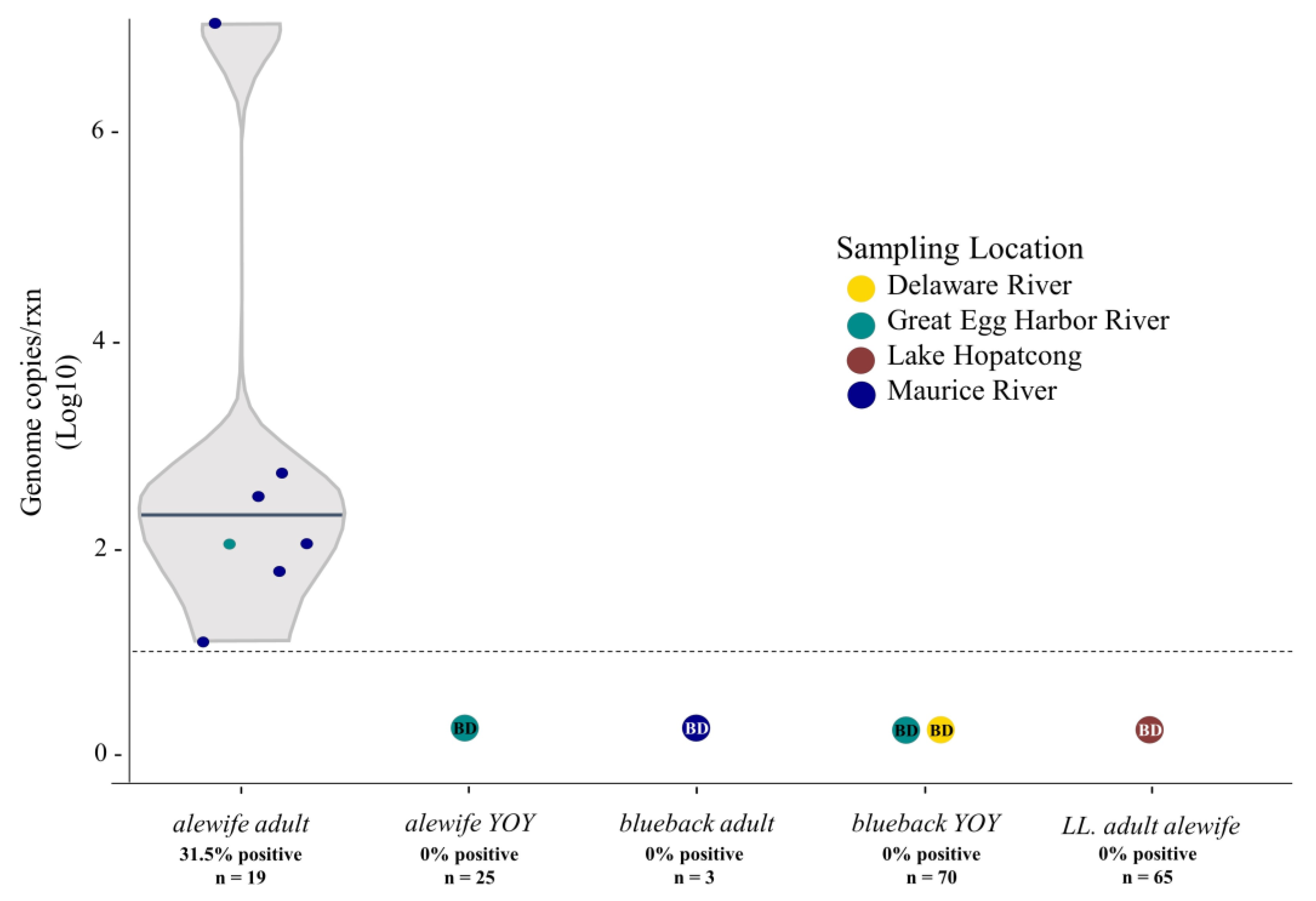 Viruses 16 00824 g002