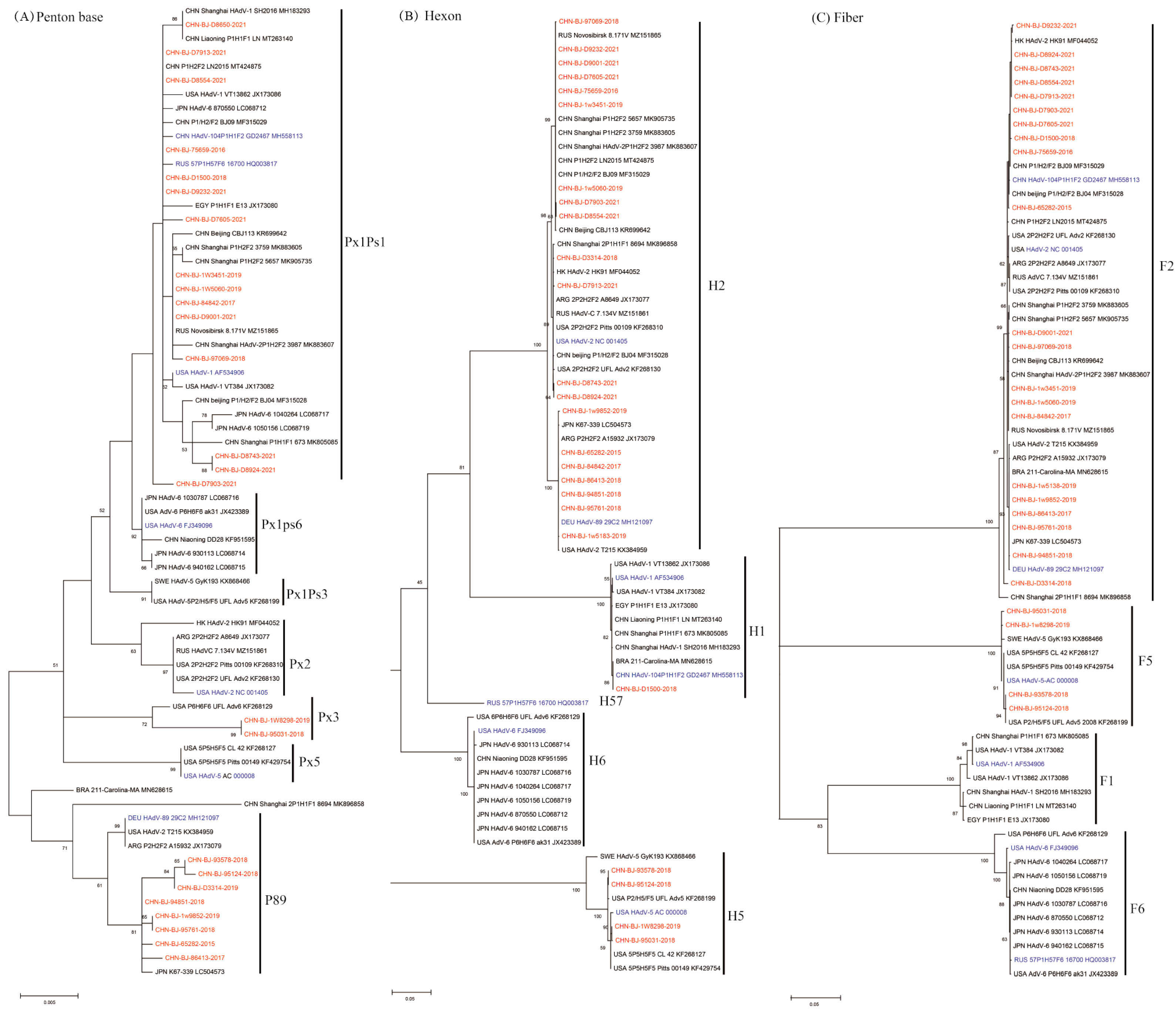 Viruses 16 00828 g002