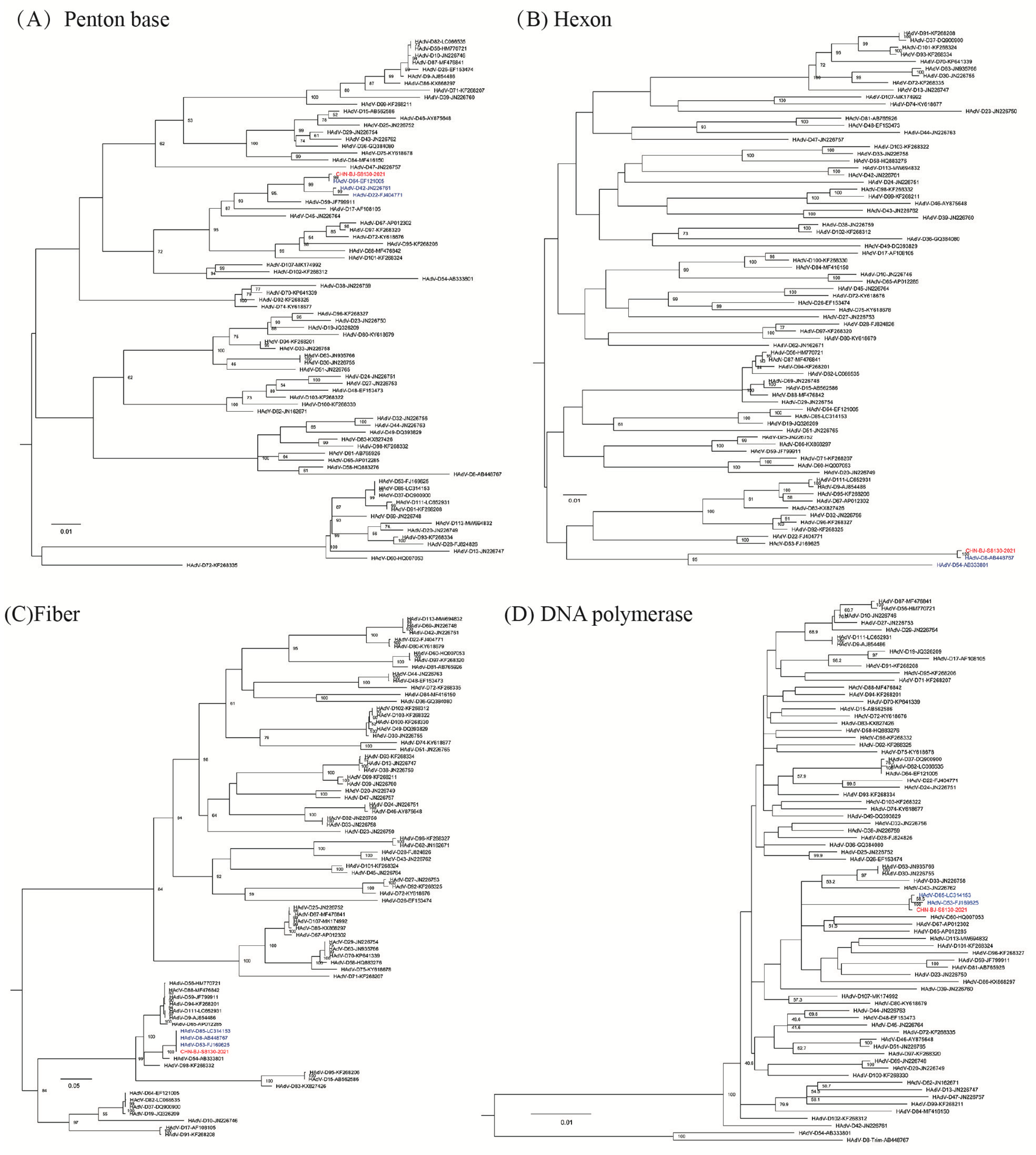 Viruses 16 00828 g003