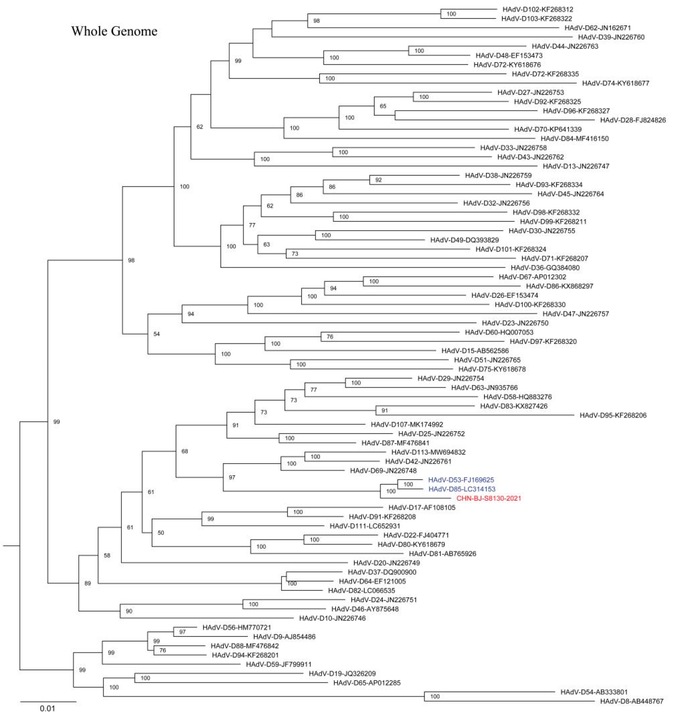 Viruses 16 00828 g006