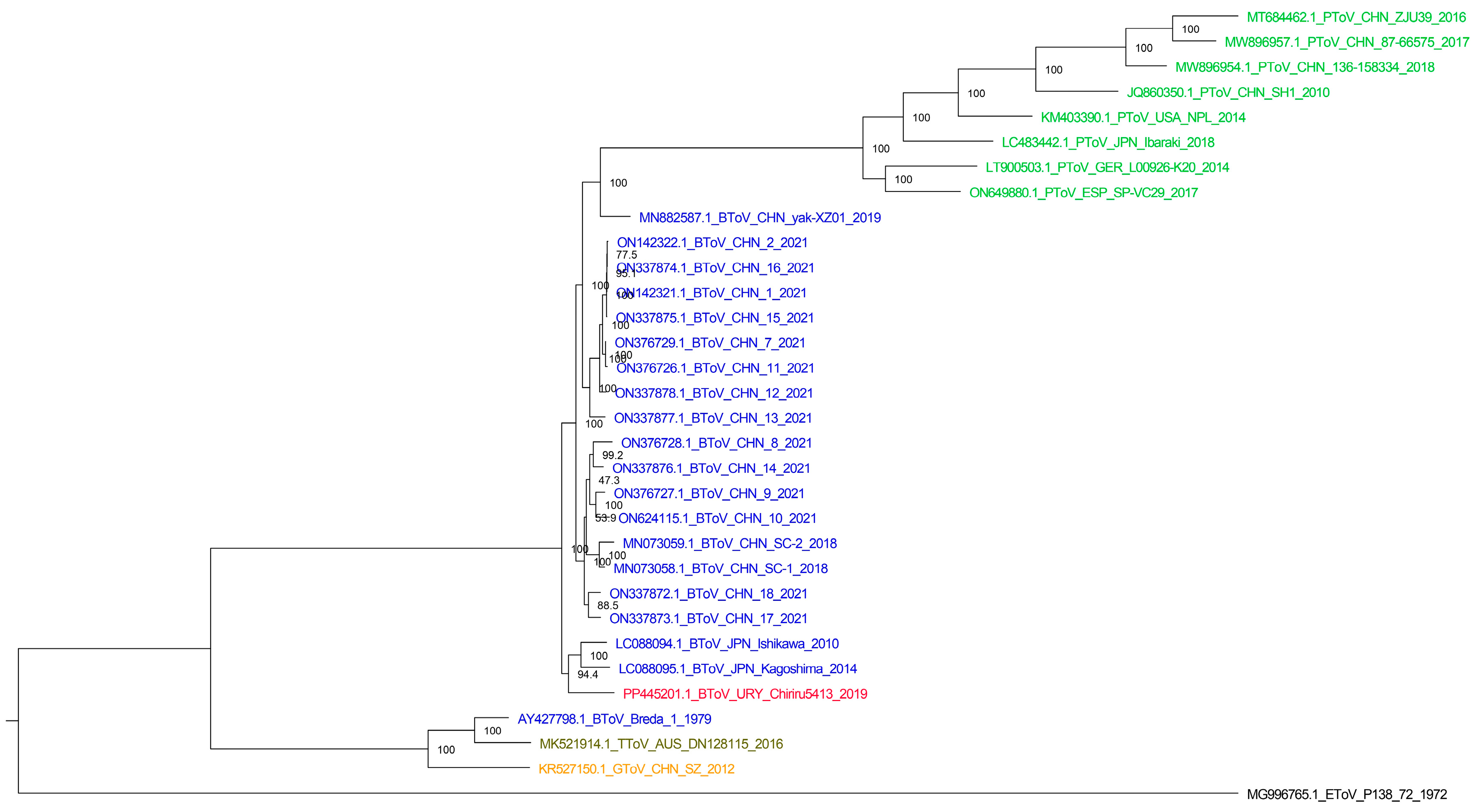 Viruses 16 00835 g002