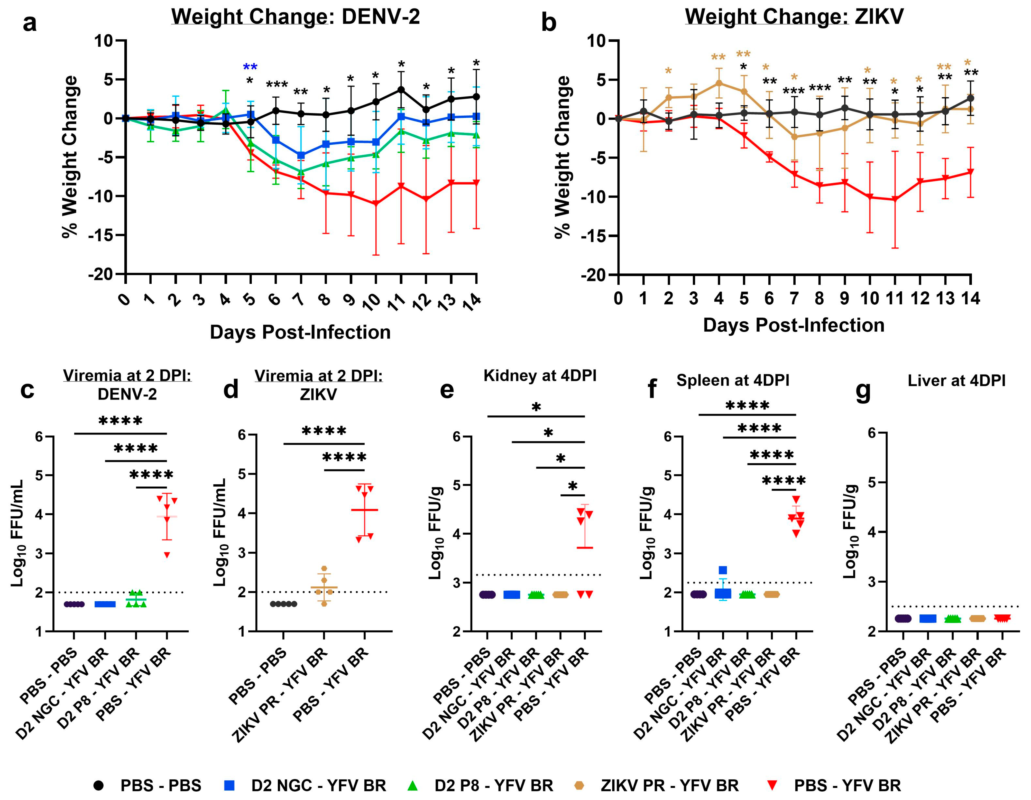 Viruses 16 00836 g002