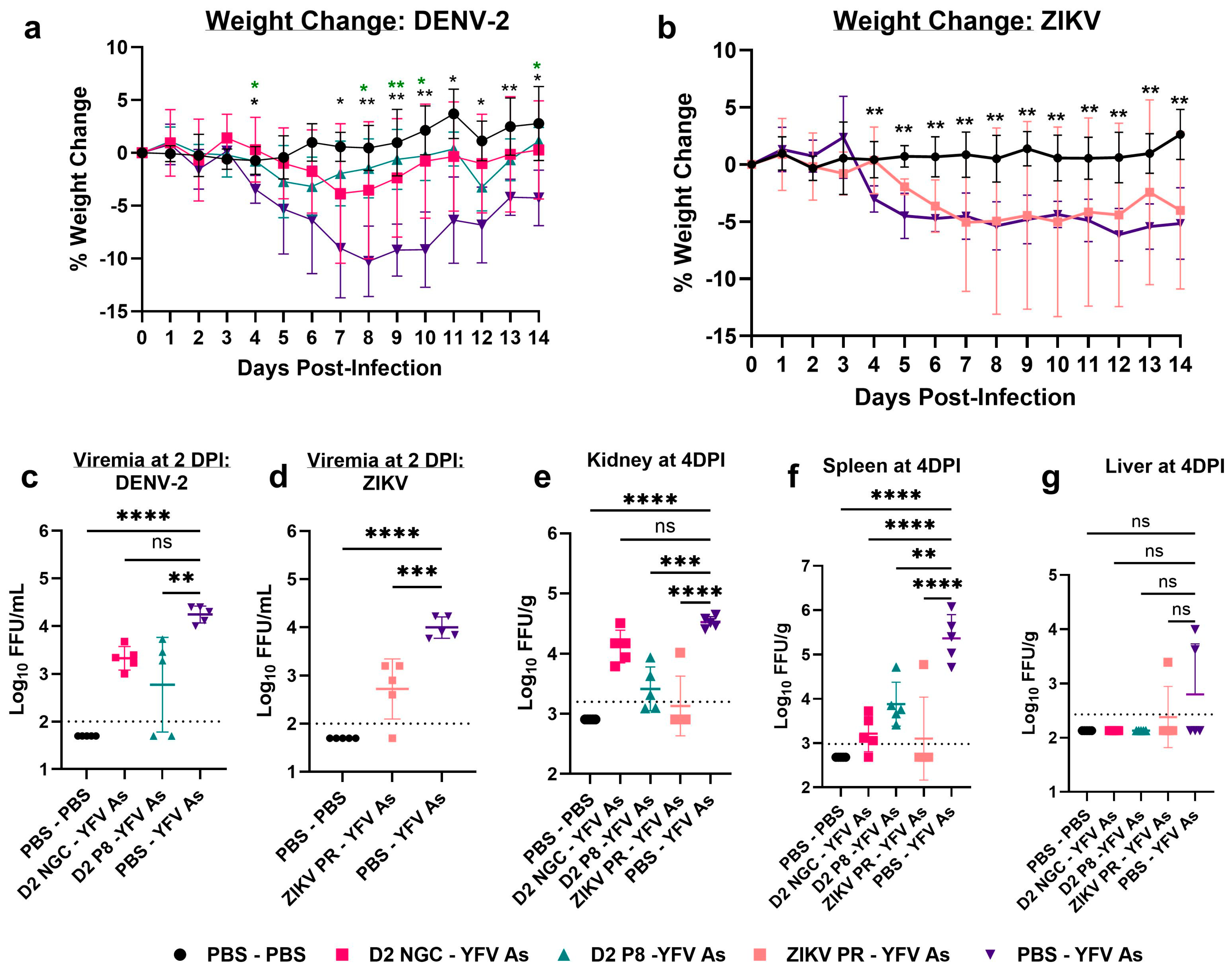 Viruses 16 00836 g003